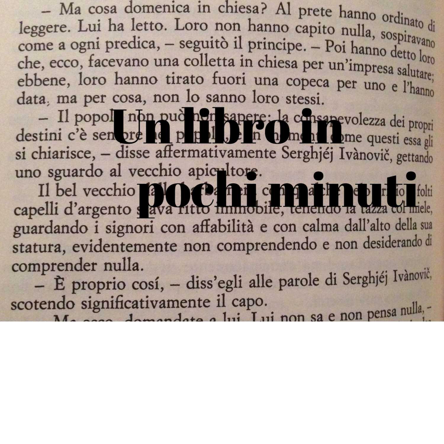 Un libro in pochi minuti