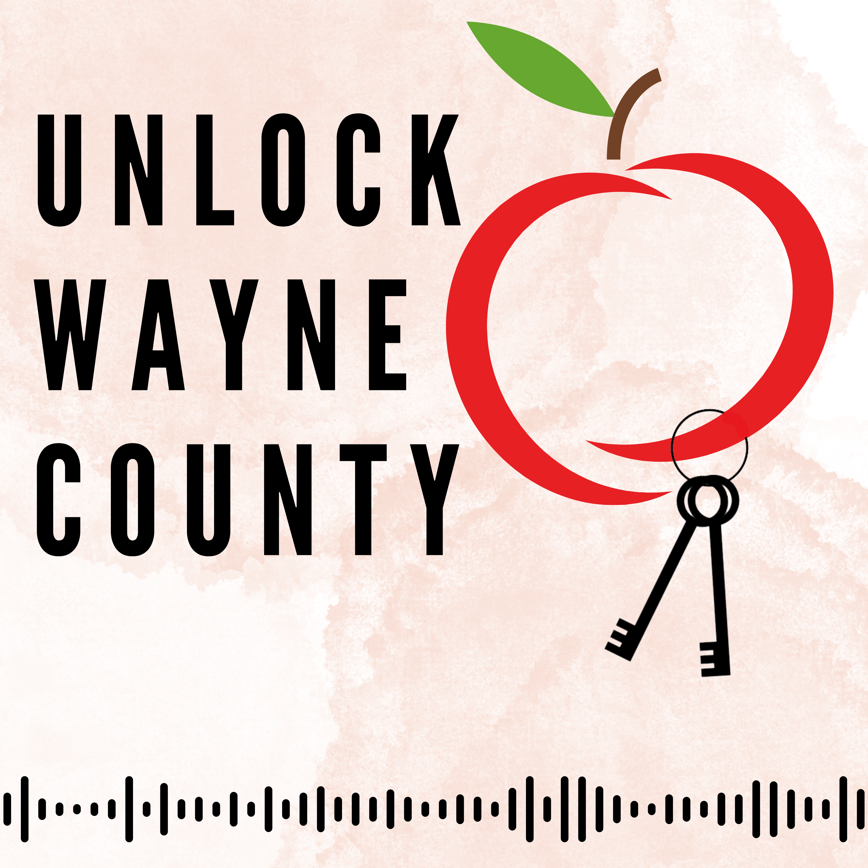 Unlock Wayne County