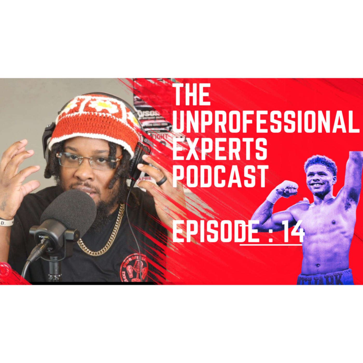 The Unprofessional Experts Podcast