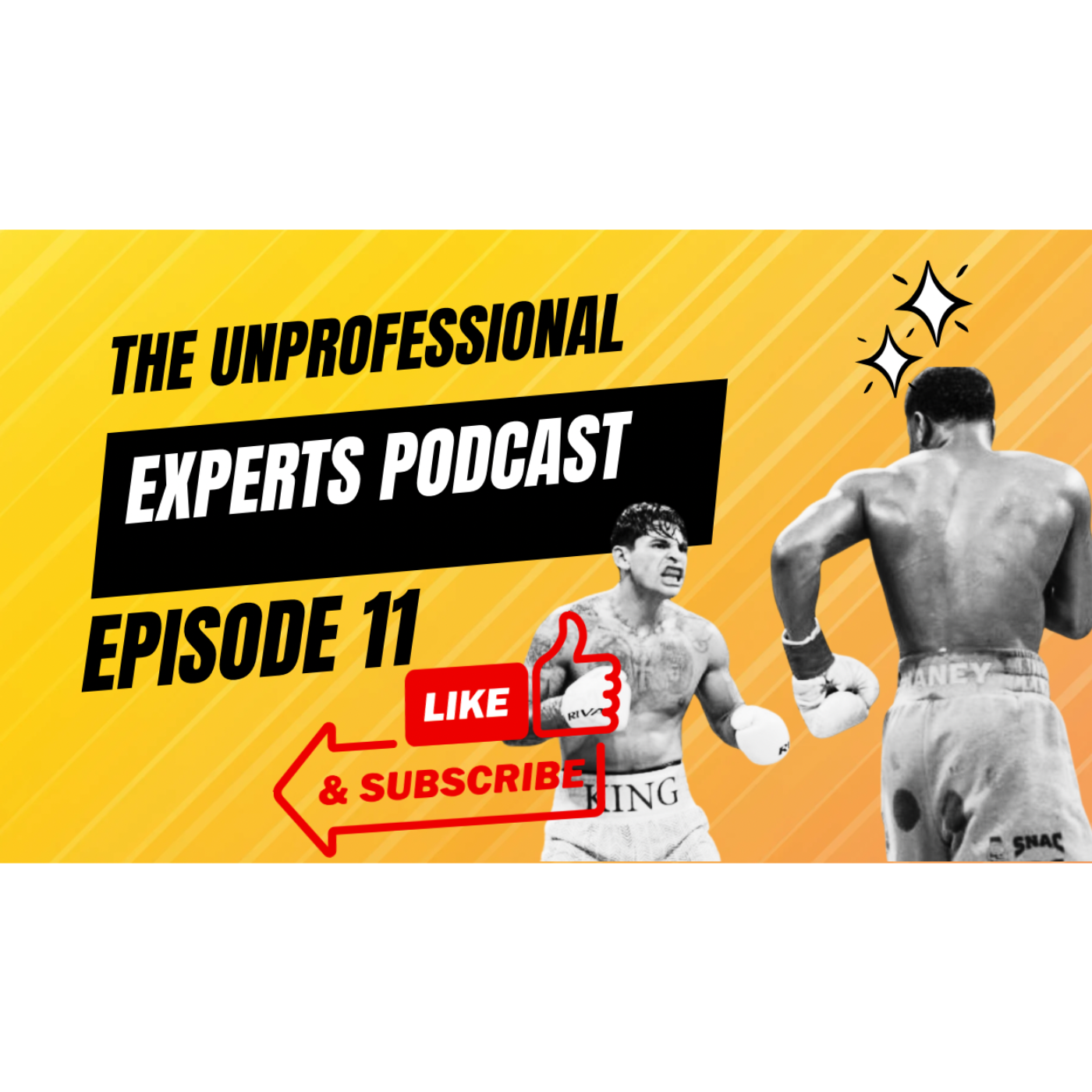 The Unprofessional Experts Podcast