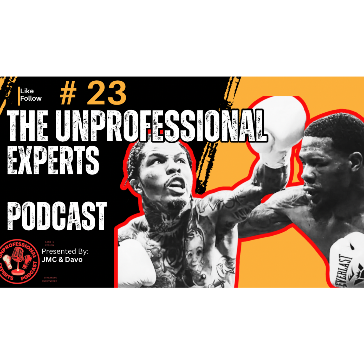 The Unprofessional Experts Podcast