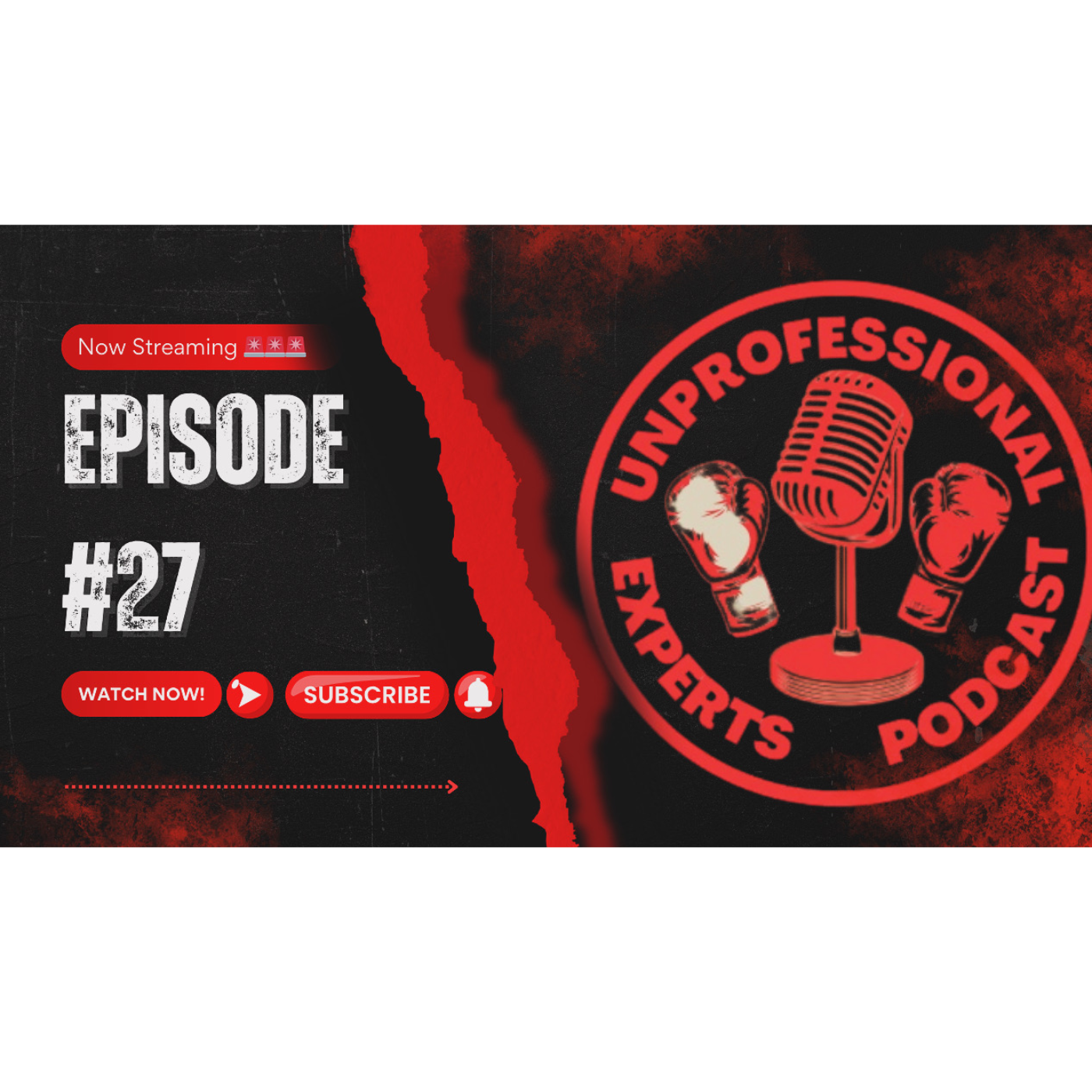 The Unprofessional Experts Podcast