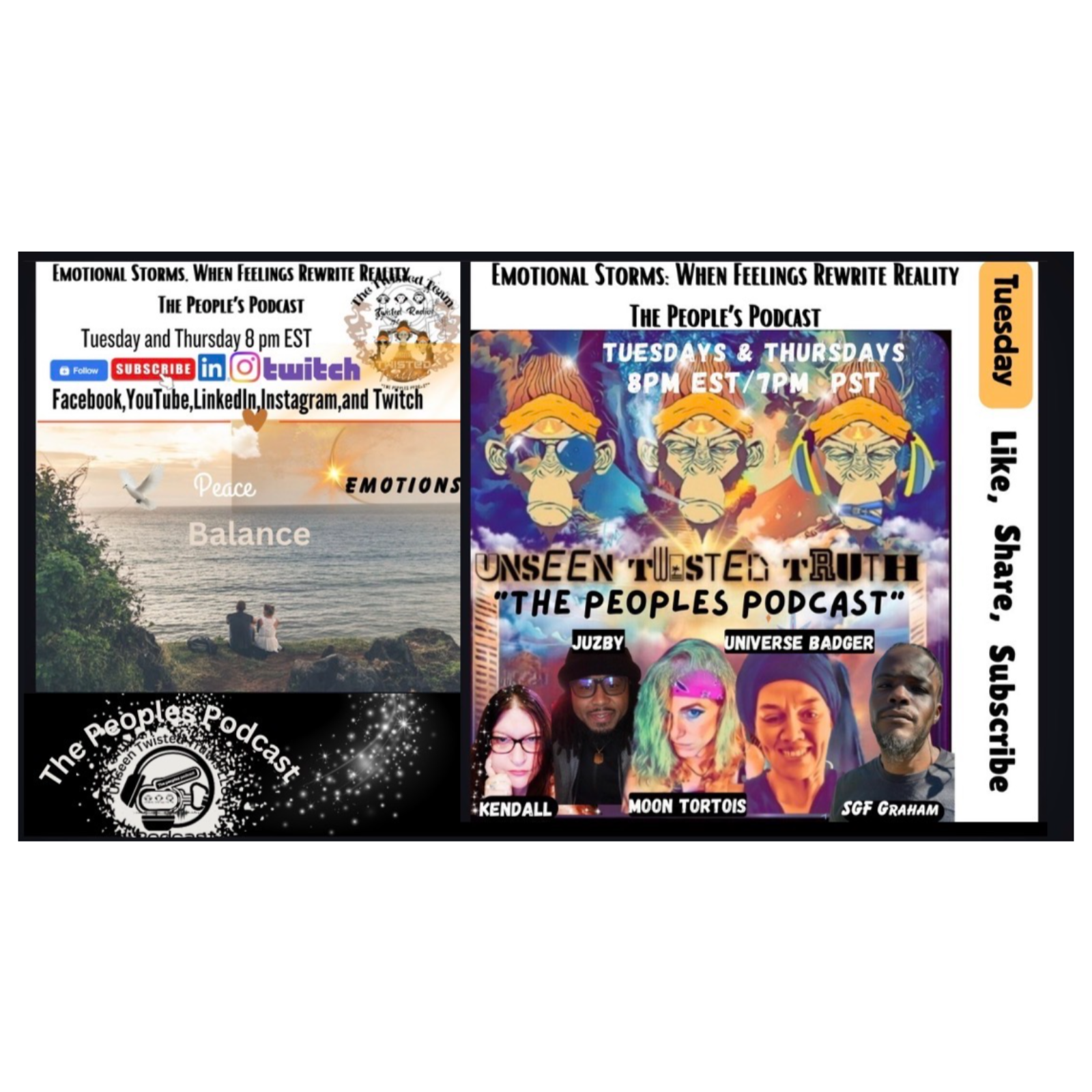 Emotional Storms: When Feelings Rewrite Reality  The People’s Podcast