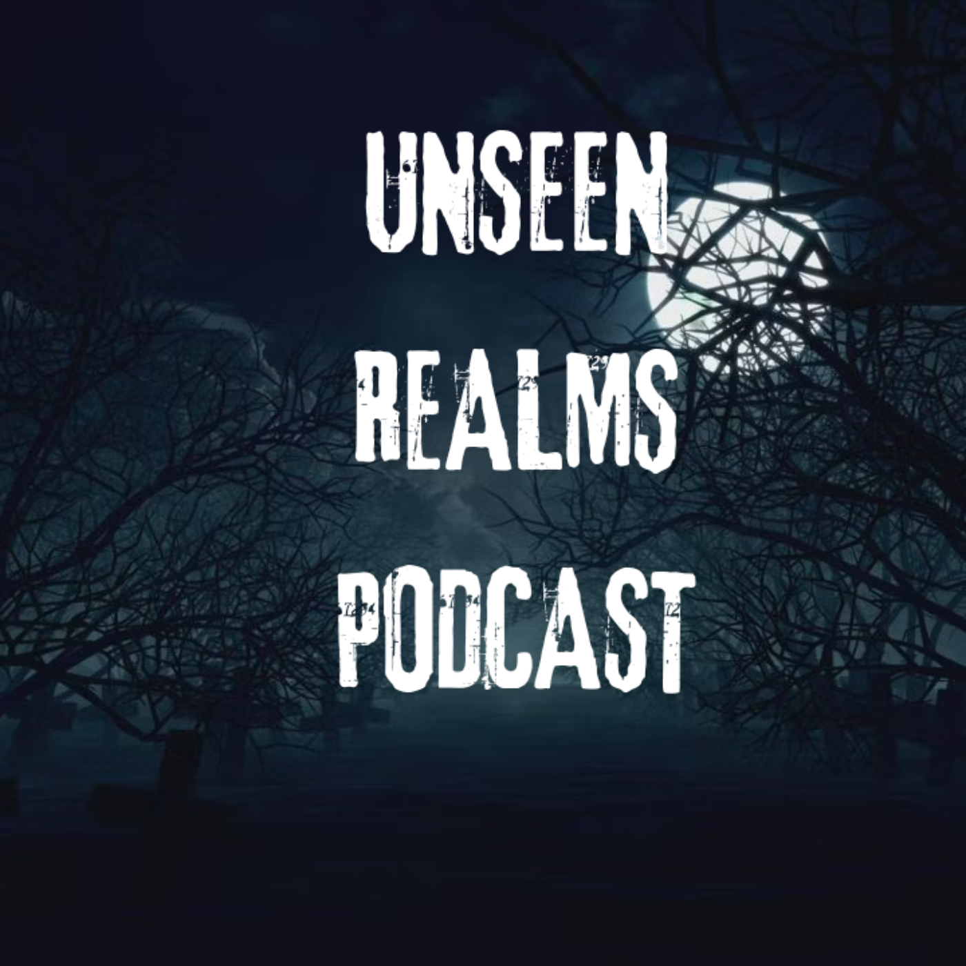 Unseen Realms Podcast