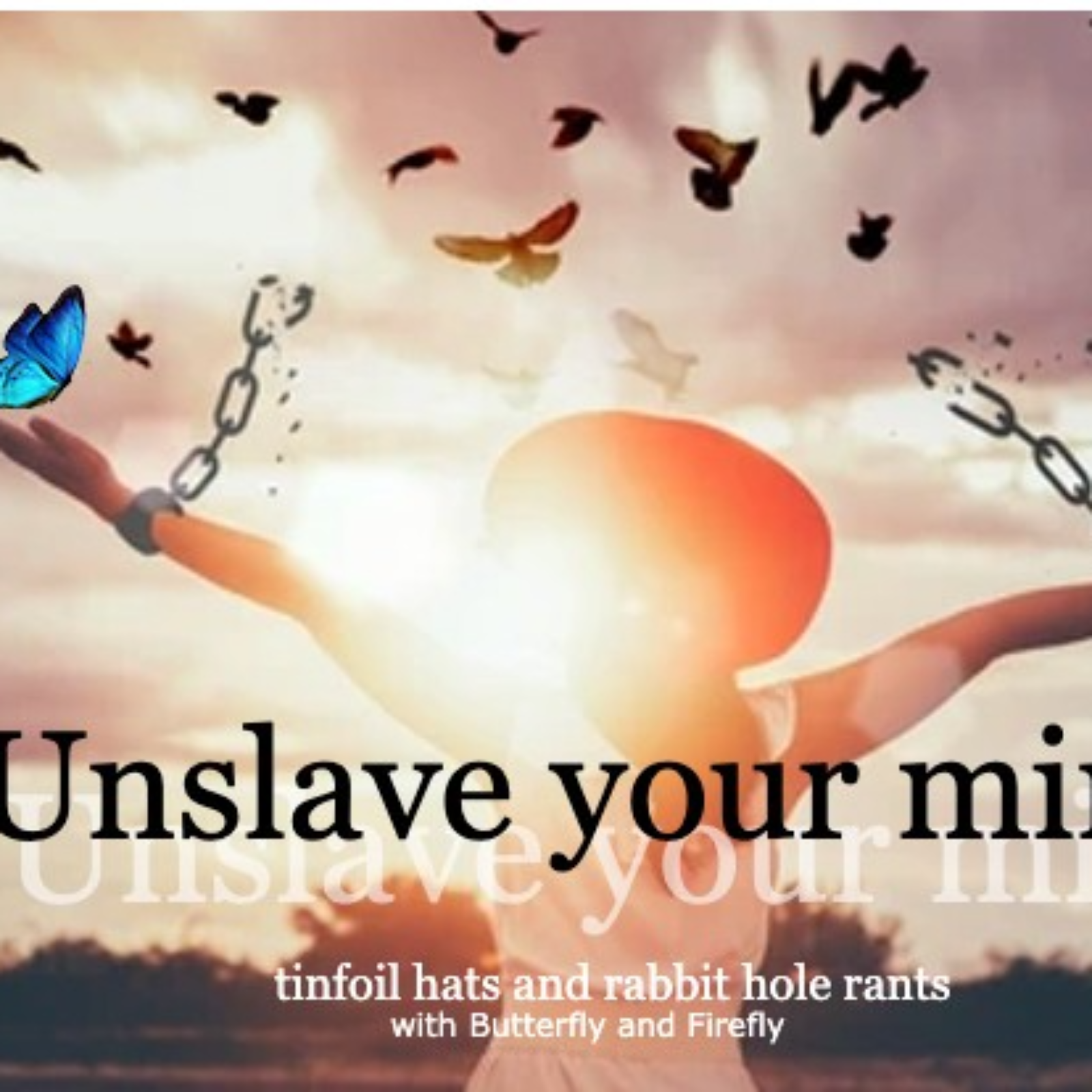 Episode 88 The key to your insecurity