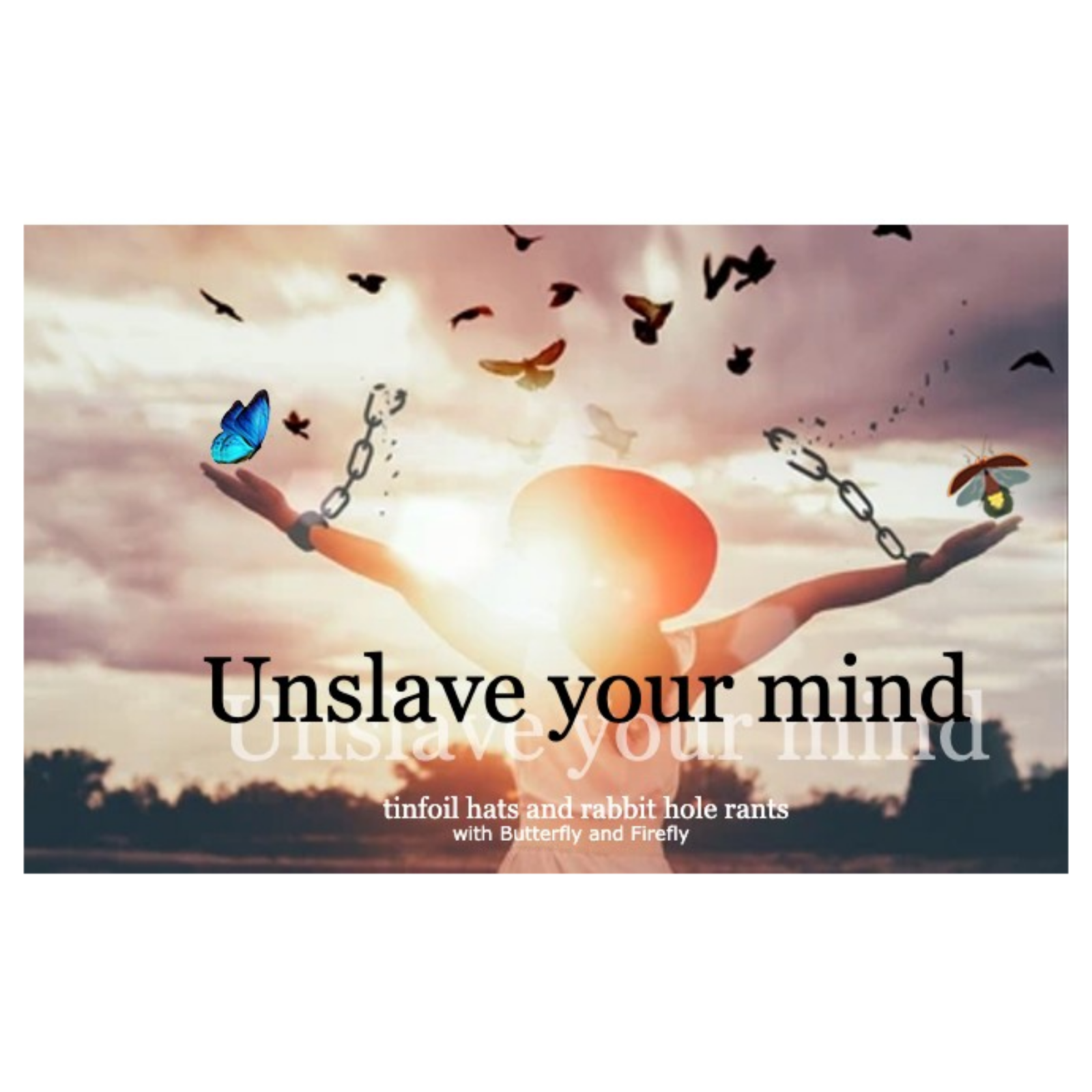 Episode 133 Dissention Among the Ranks