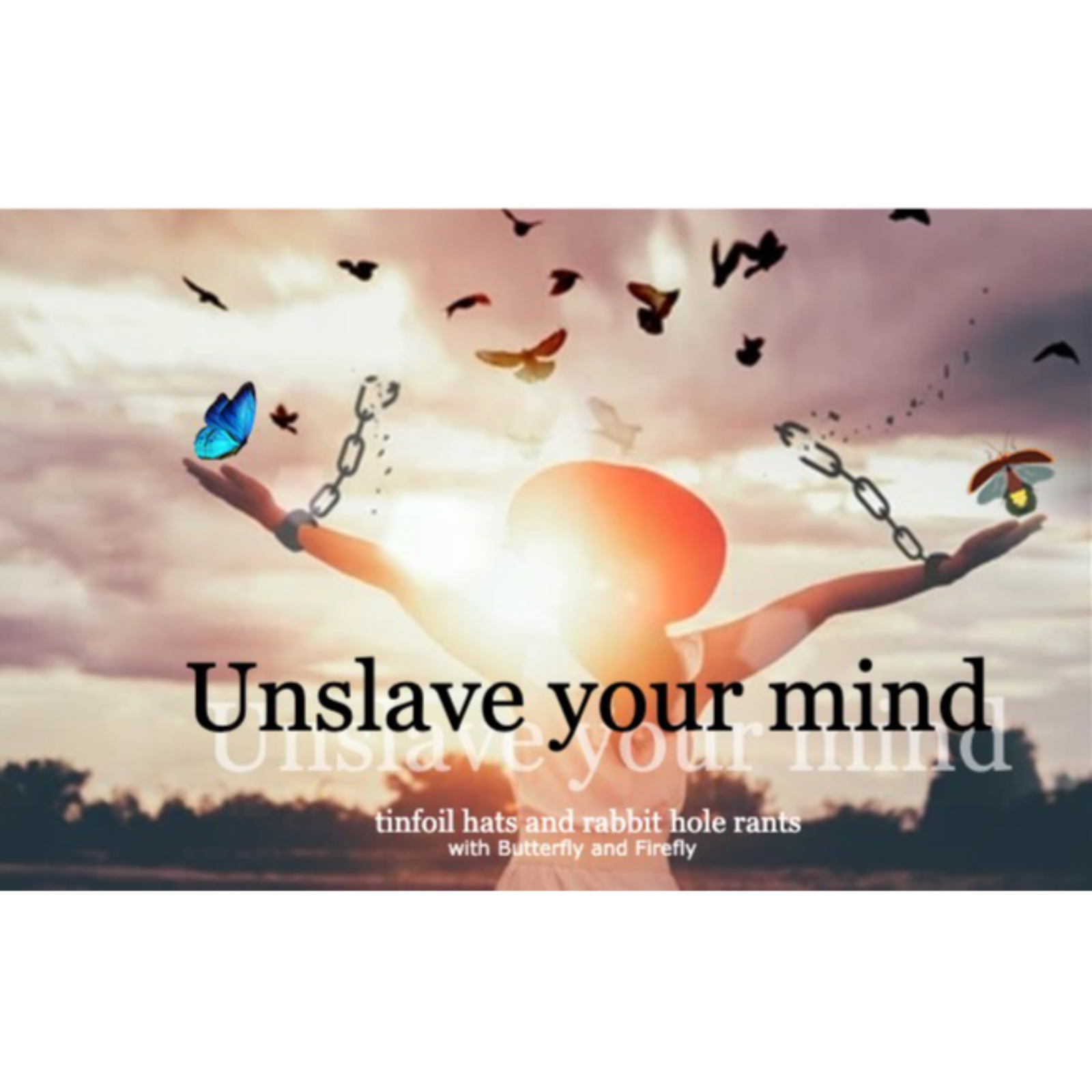 Episode 157 Is the Controlled Opposition the New Mockingbird Media