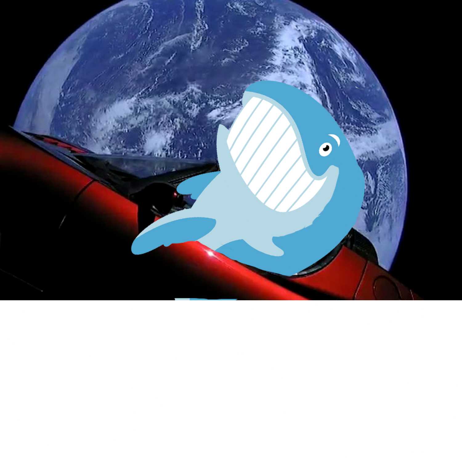 Unusual Whales
