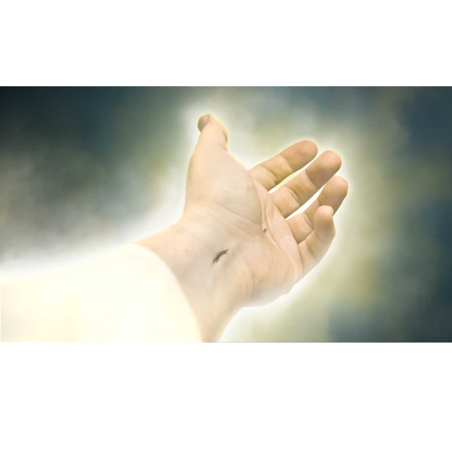CFM010: Revelation 1 - 5 (CFM Study: Dec 4 - 10) thumbnail