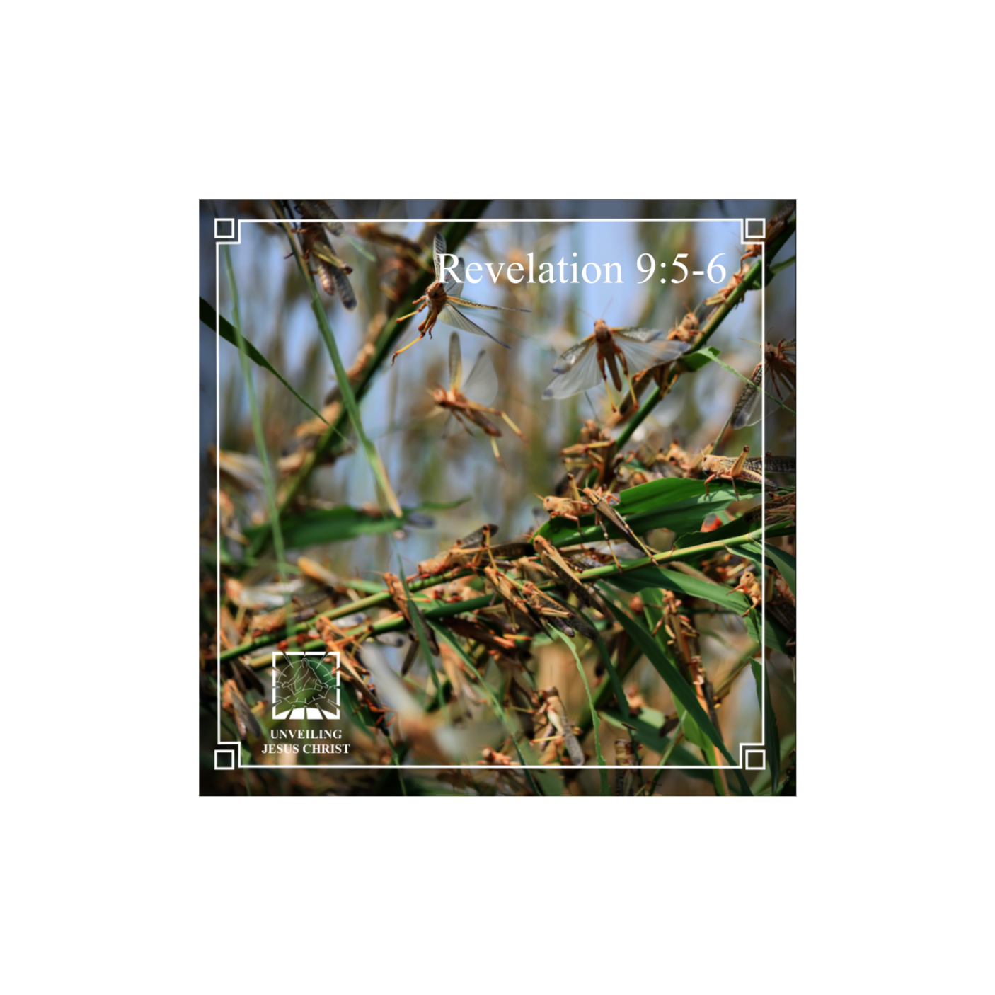 [§113] Rev 9:5-6: Locusts Torment People for Five Months episode artwork