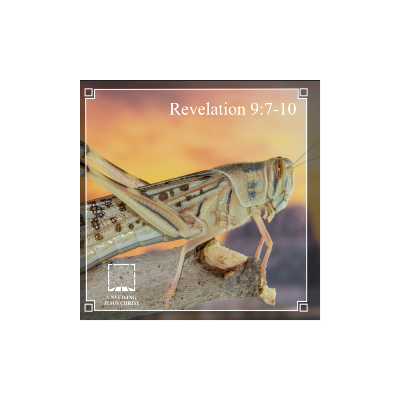 [§114] Rev 9:7-10: Seven Symbolic Characteristics of the Locusts episode artwork