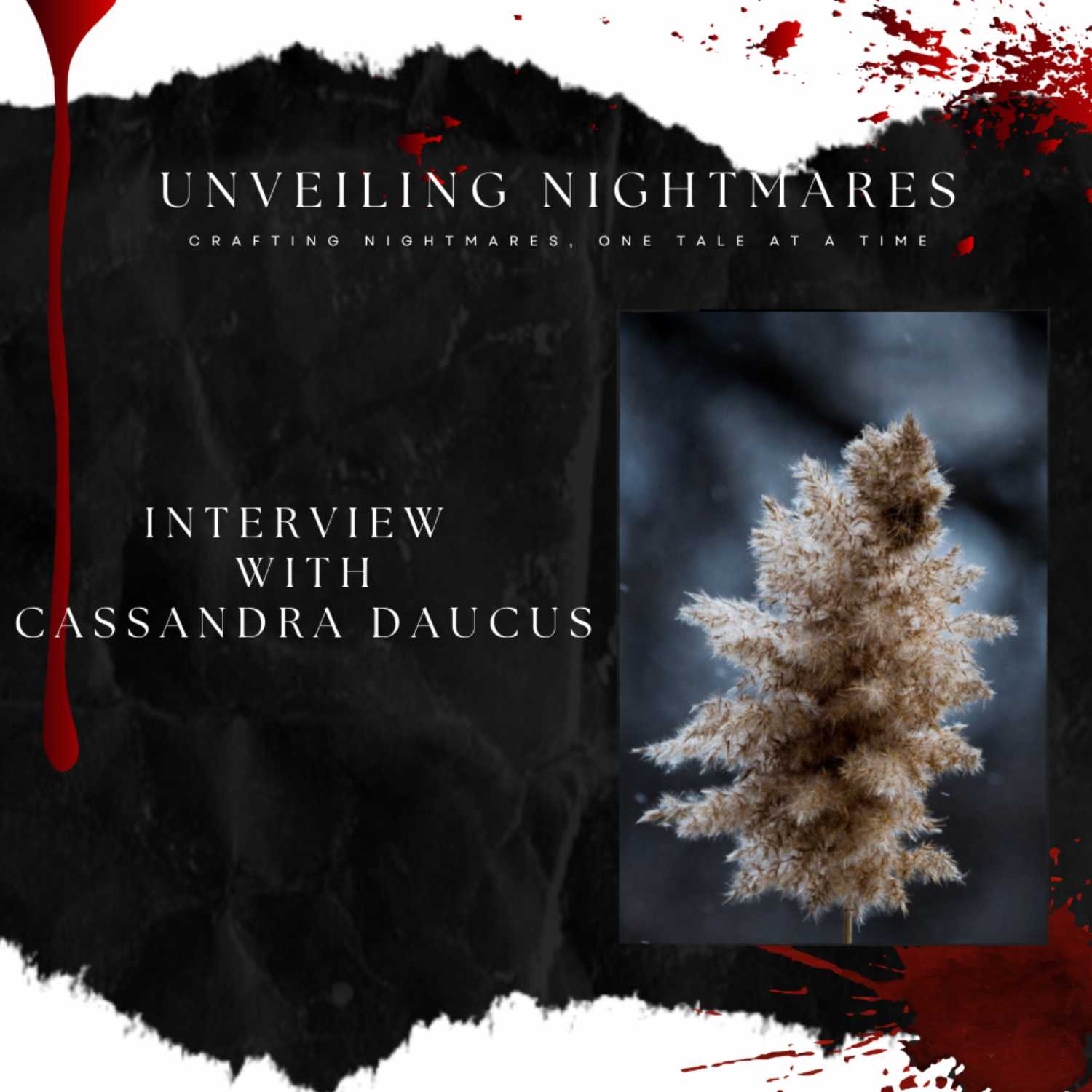 Unveiling Nightmares