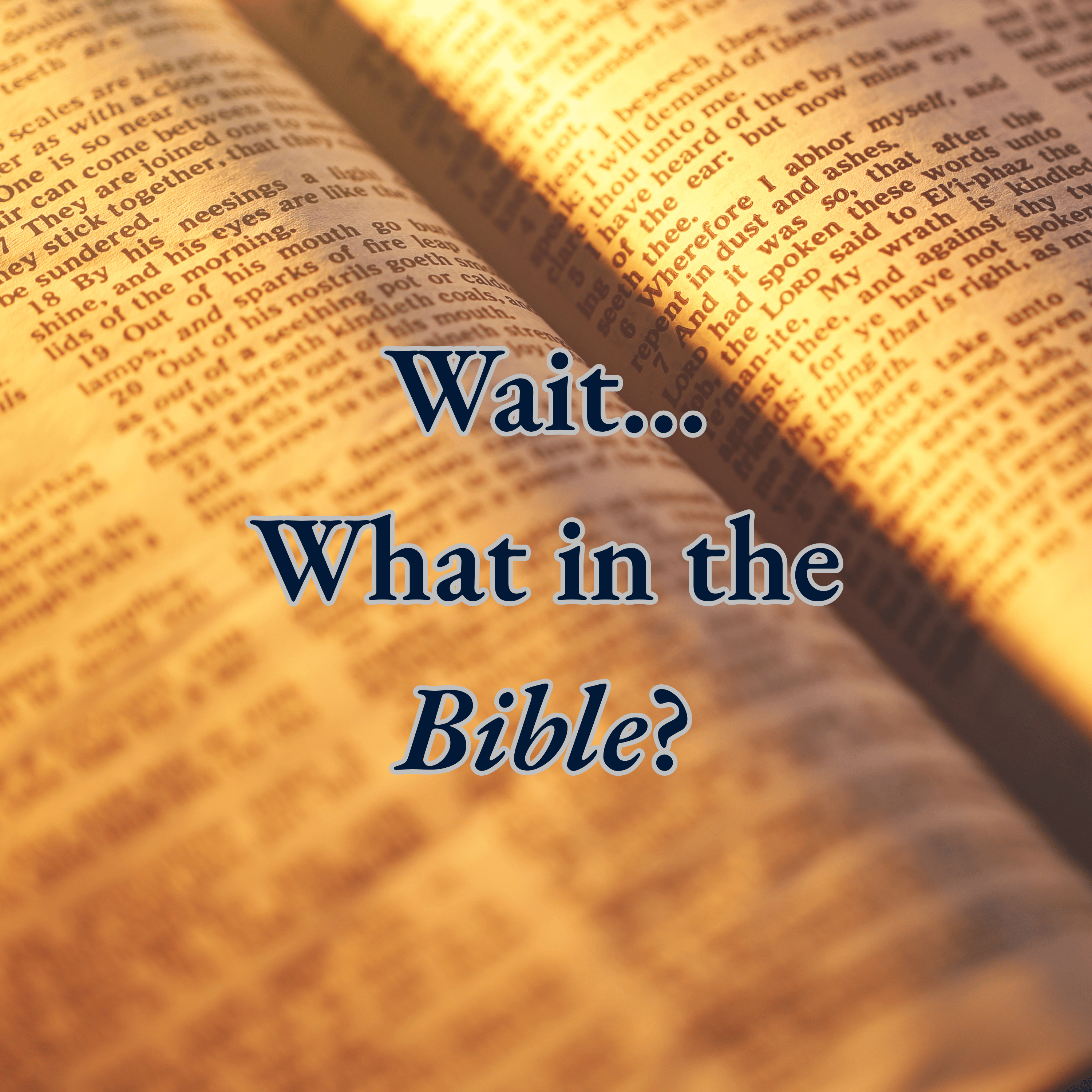 Wait, What in the Bible?: "Donkey Talk" - Rev. Jarrett McLaughlin (07.19.26) episode artwork