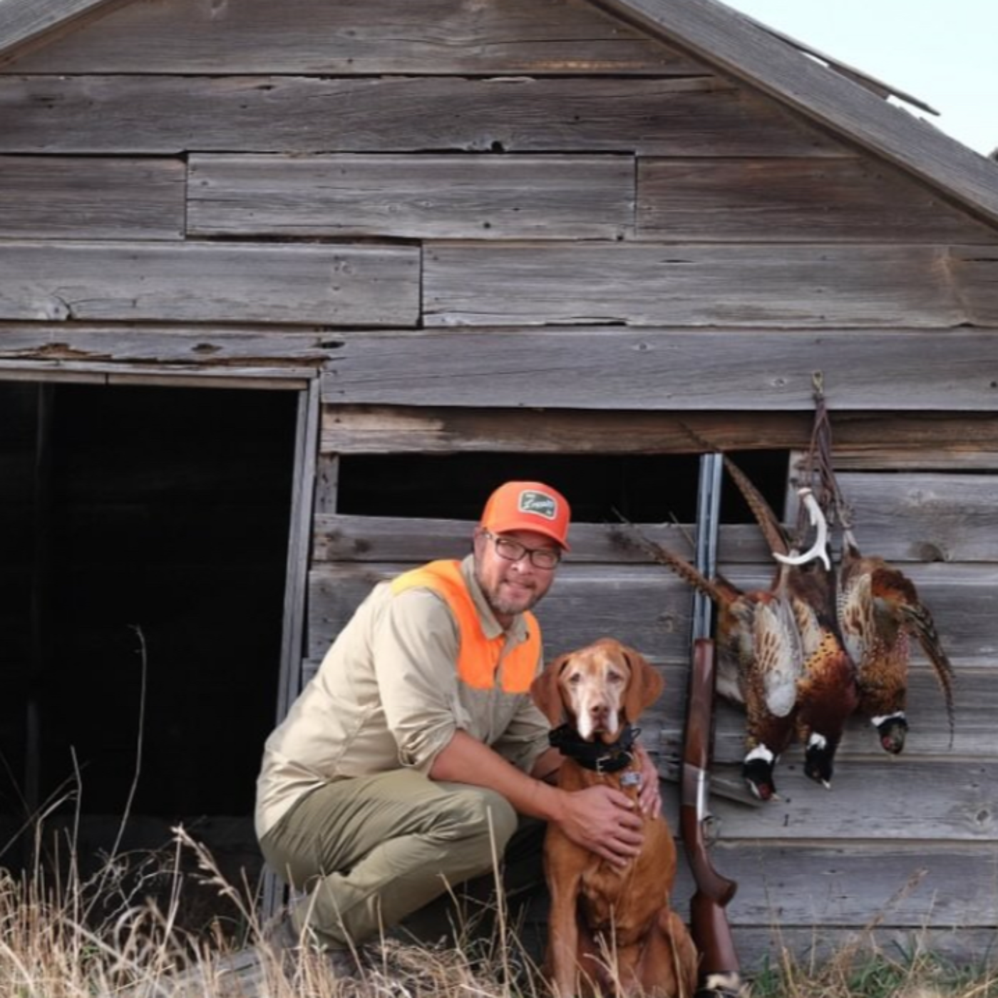 Part 2 Feathers of Faith: Rich’s Story of Dogs, Devotion, and Discovery