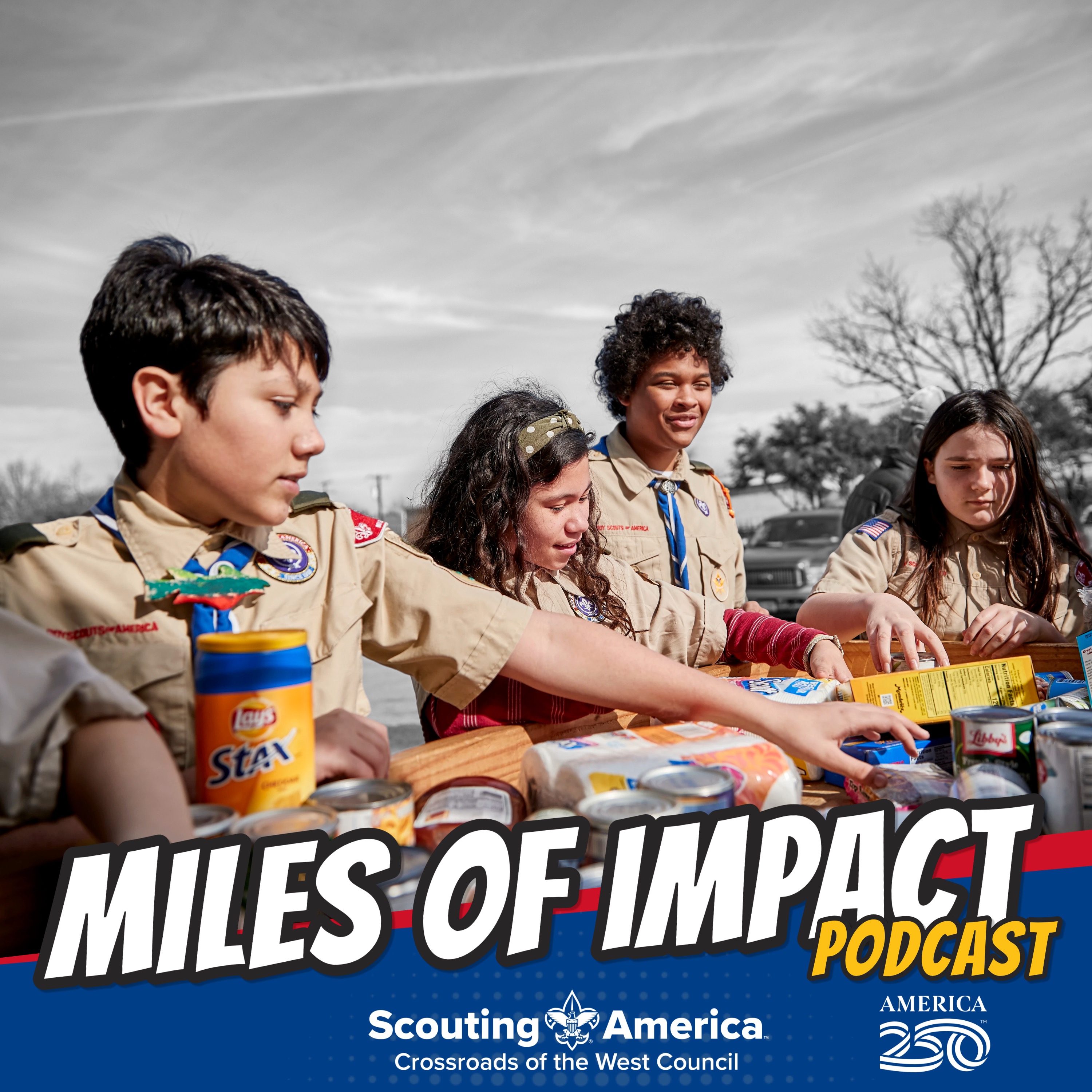 Serving Others… It’s the American Way | Scouting for Food