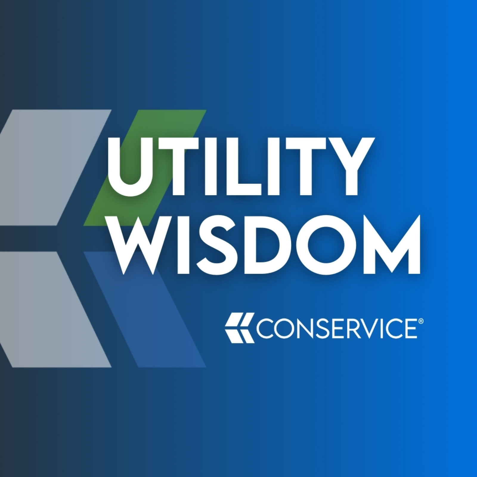 Utility Wisdom cover art