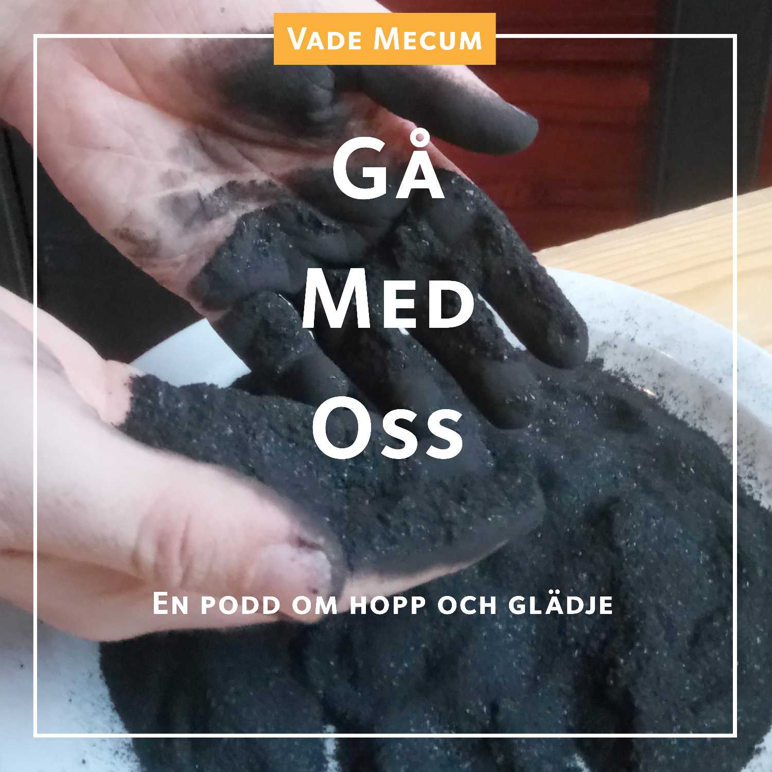 Gå med oss - Vade Mecum
