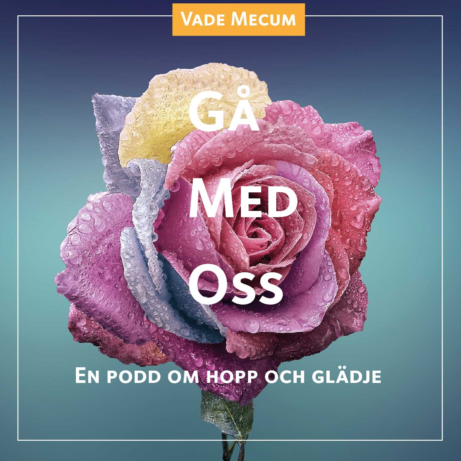 Gå med oss - Vade Mecum