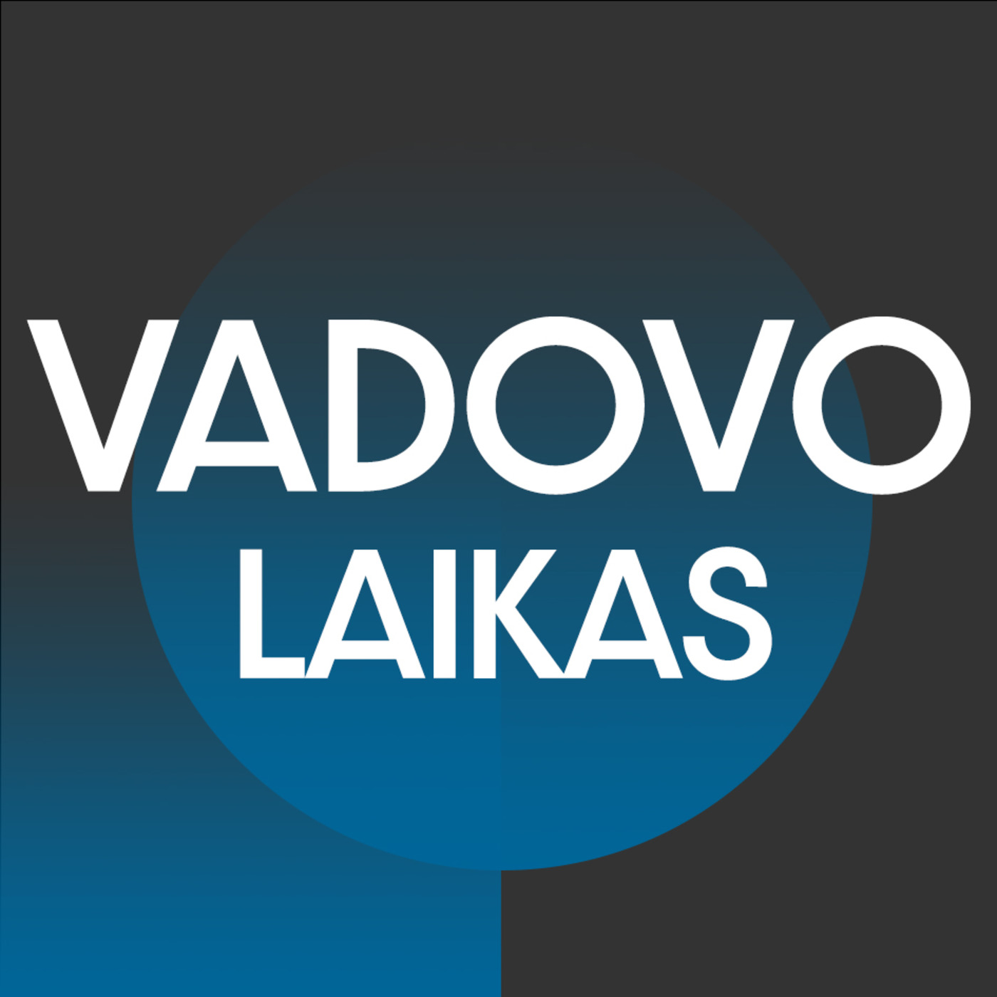 Tomas Bartninkas ir Saulius Jovaišas - interviu Vadovo Laikas