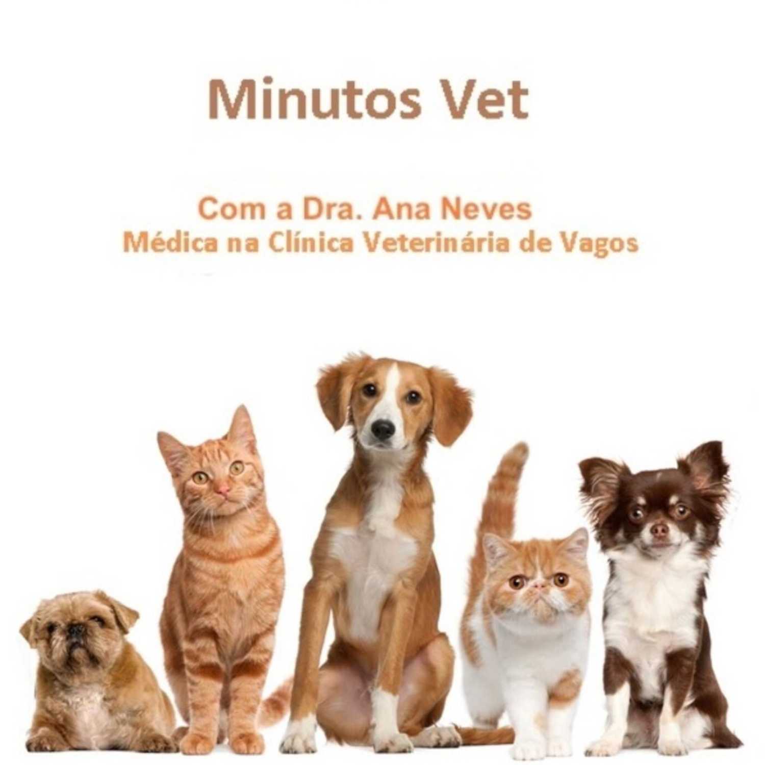 Vagos FM Podcasts