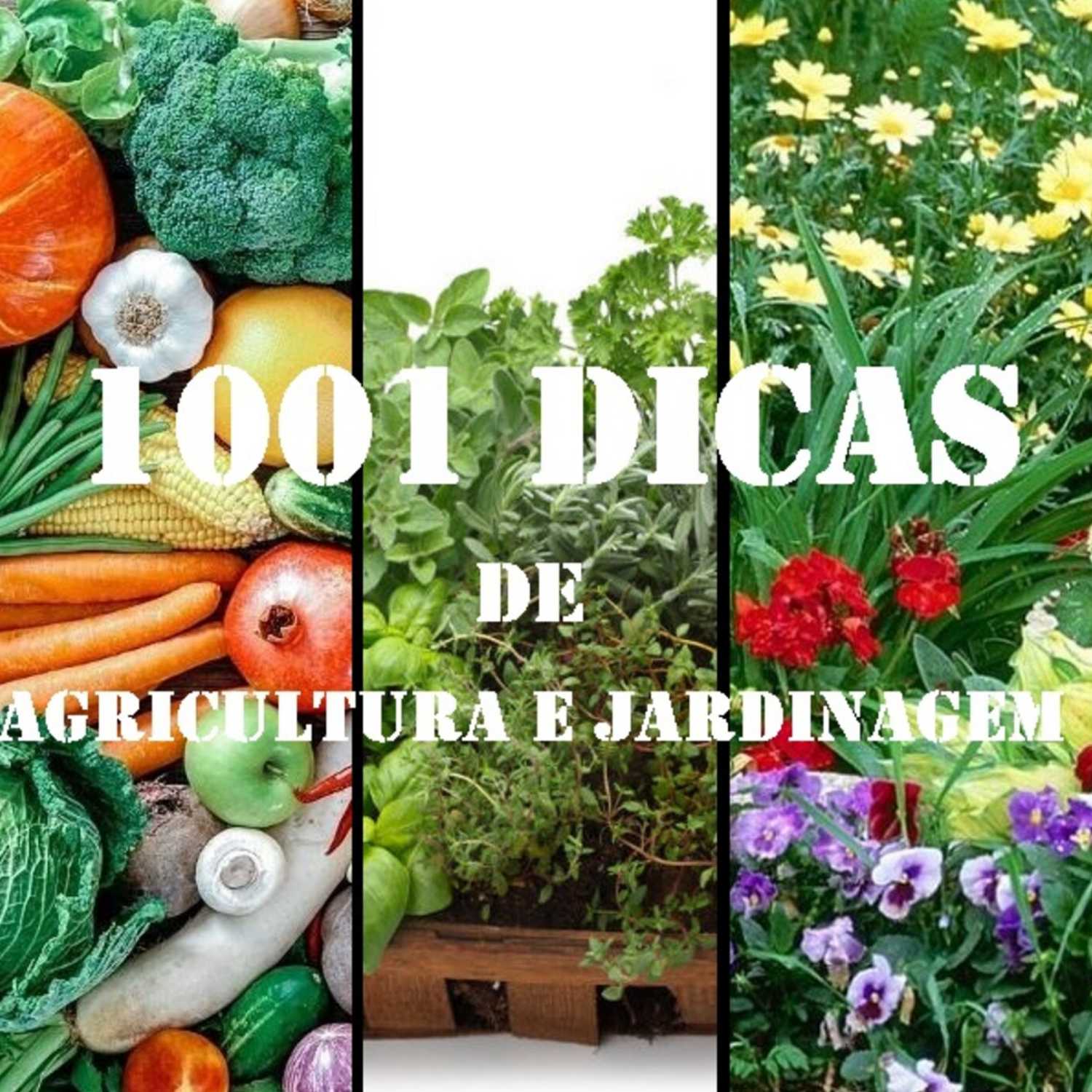 Vagos FM Podcasts