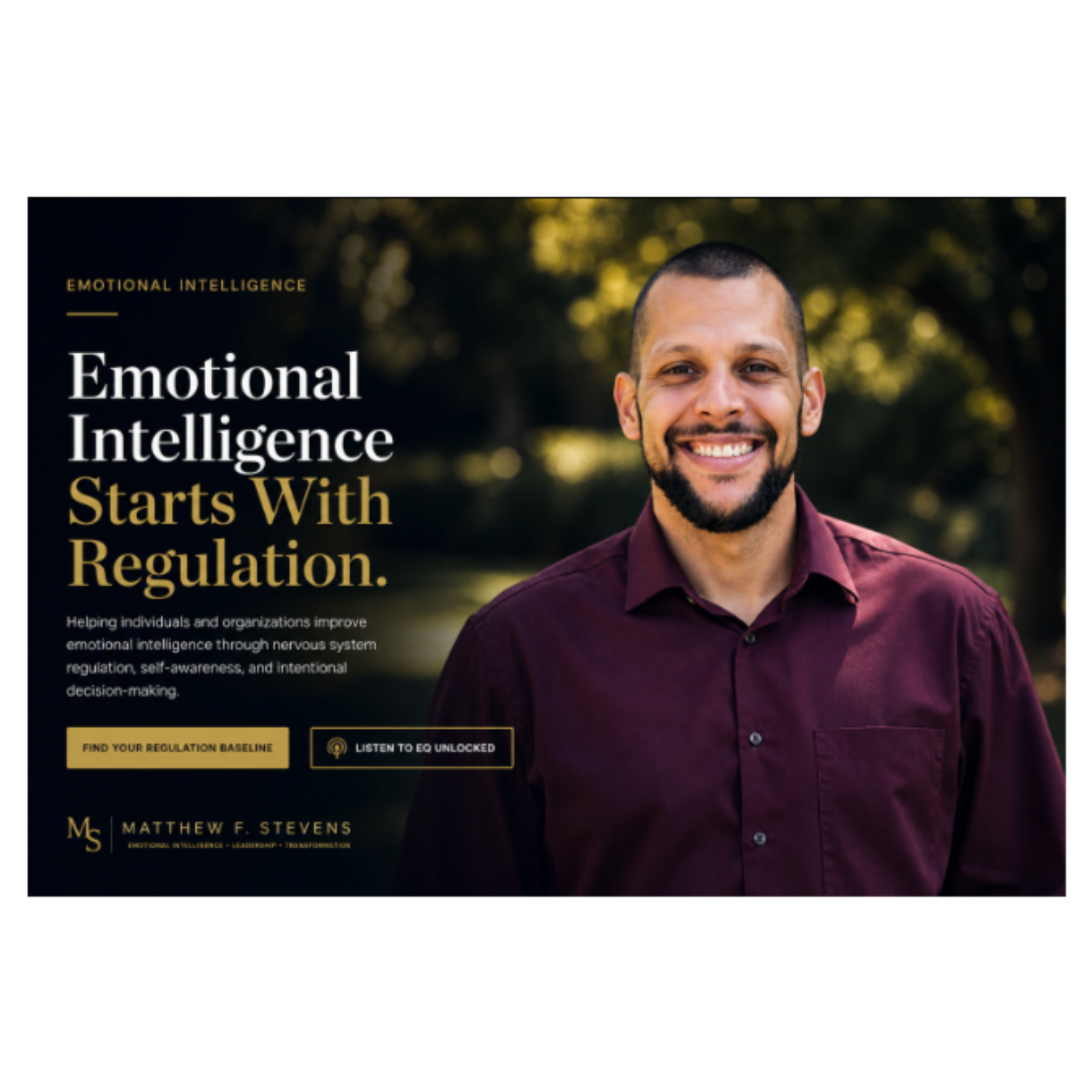Emotional Intelligence & Self Regulation  episode artwork