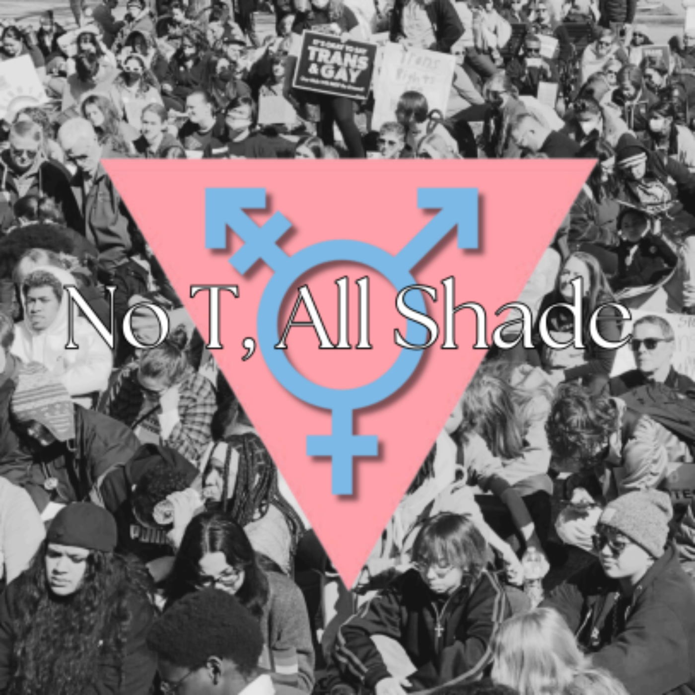 No T, All Shade: By Sarah Bishop episode artwork