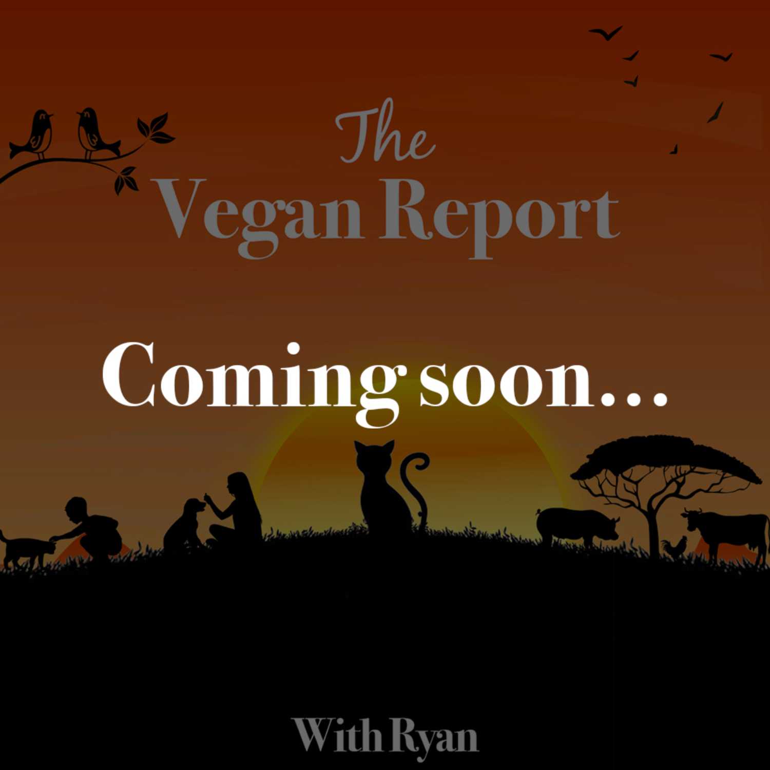 The Vegan Report