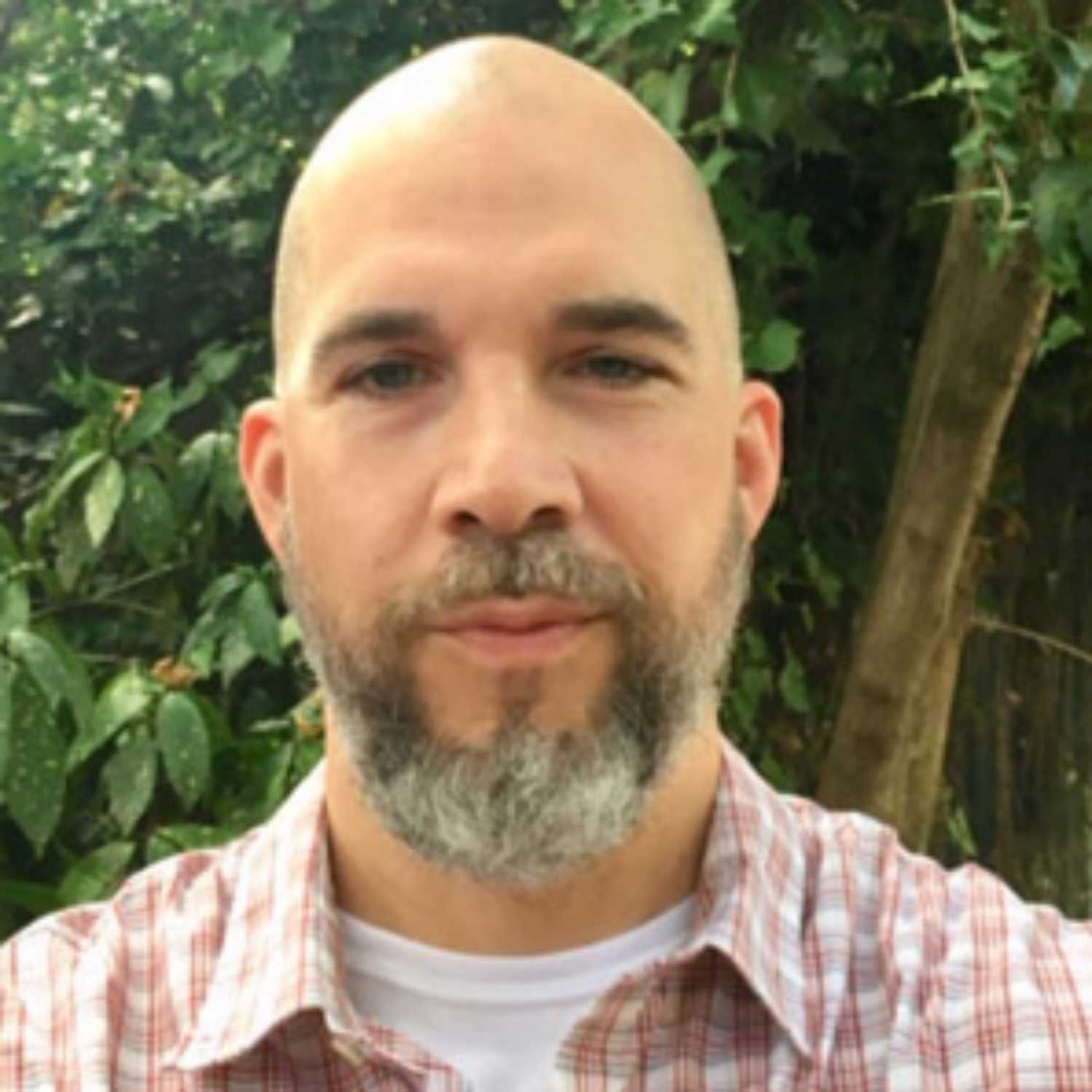 The Vegan Report
