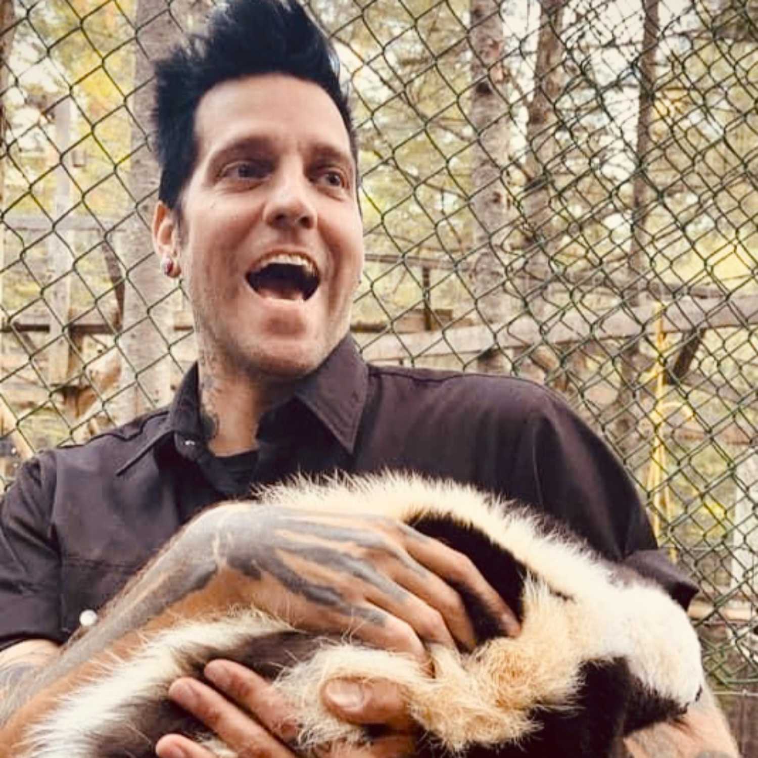 The Vegan Report
