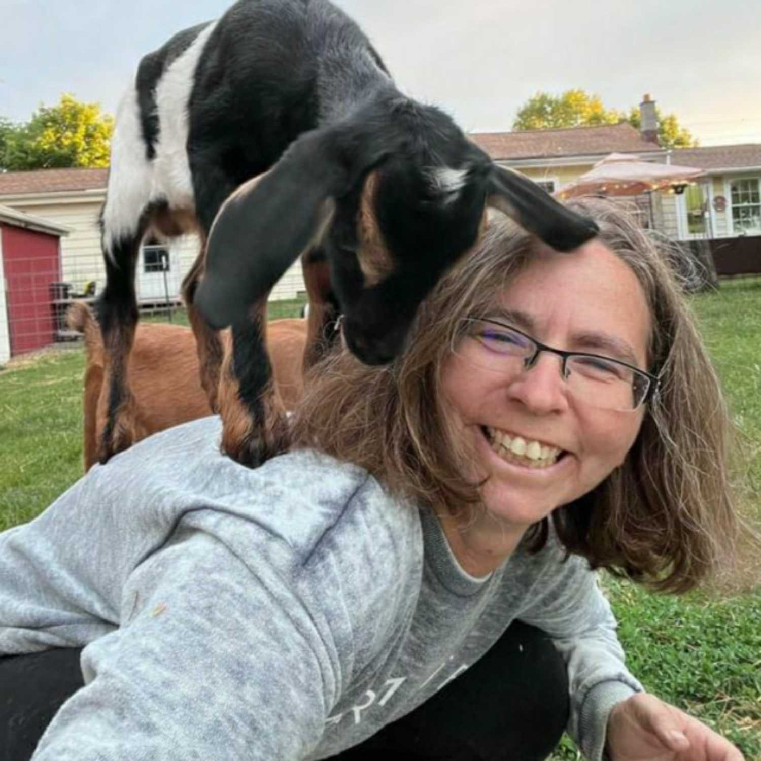 The Vegan Report