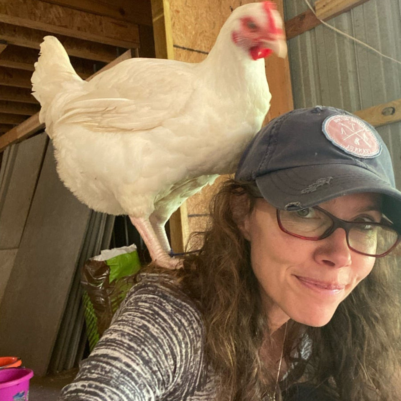 The Vegan Report