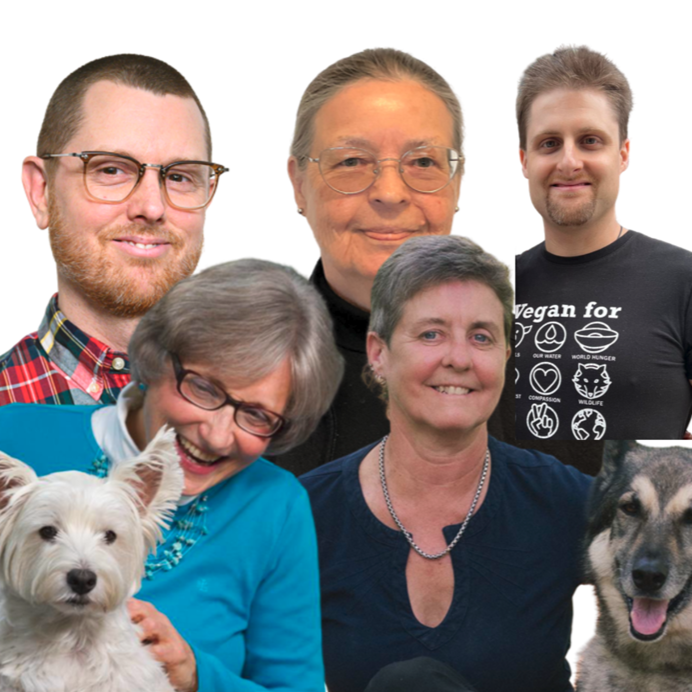 The Vegan Report