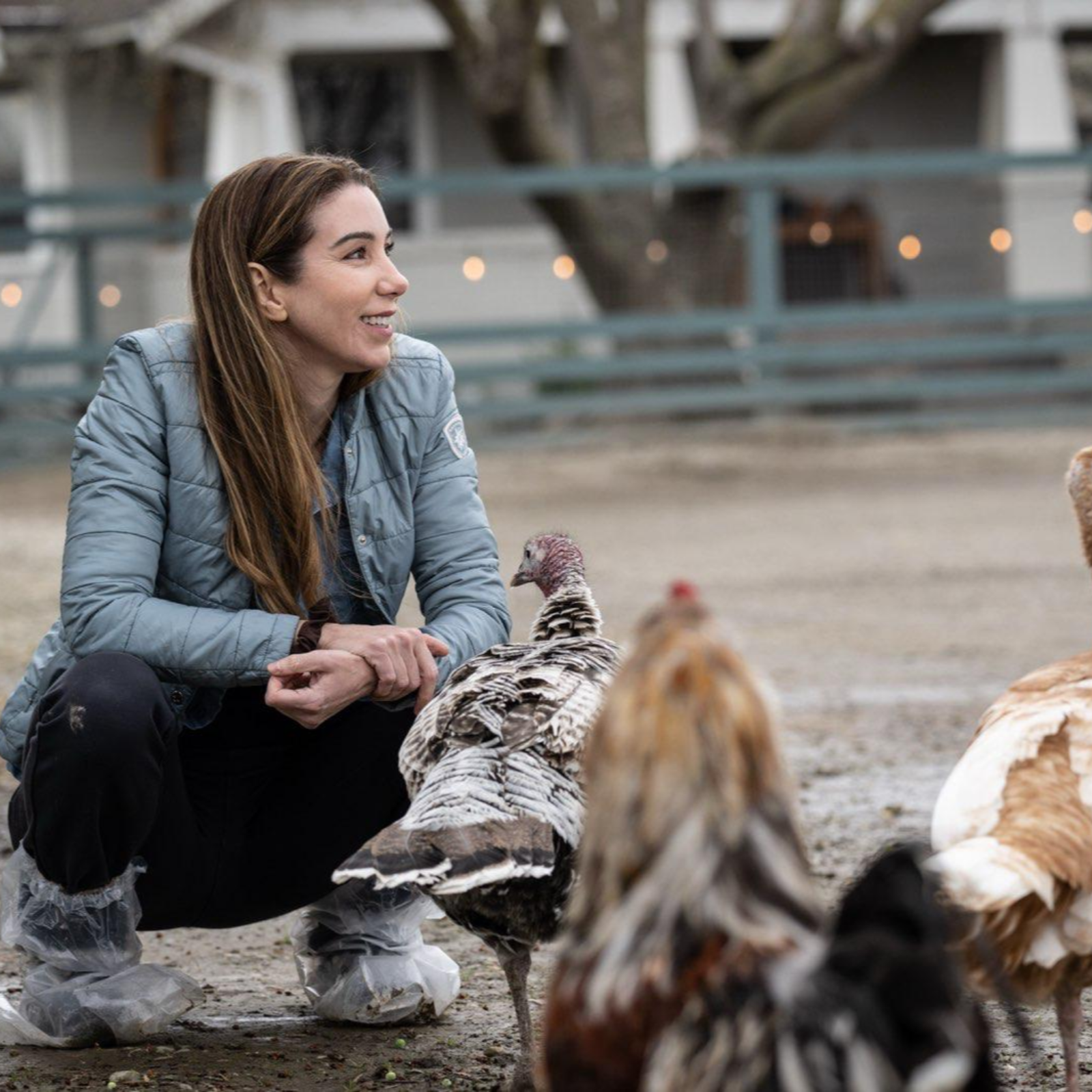 Addressing Misconduct in the Animal Rights Movement. With Dr. Crystal Heath  | Ep. 113