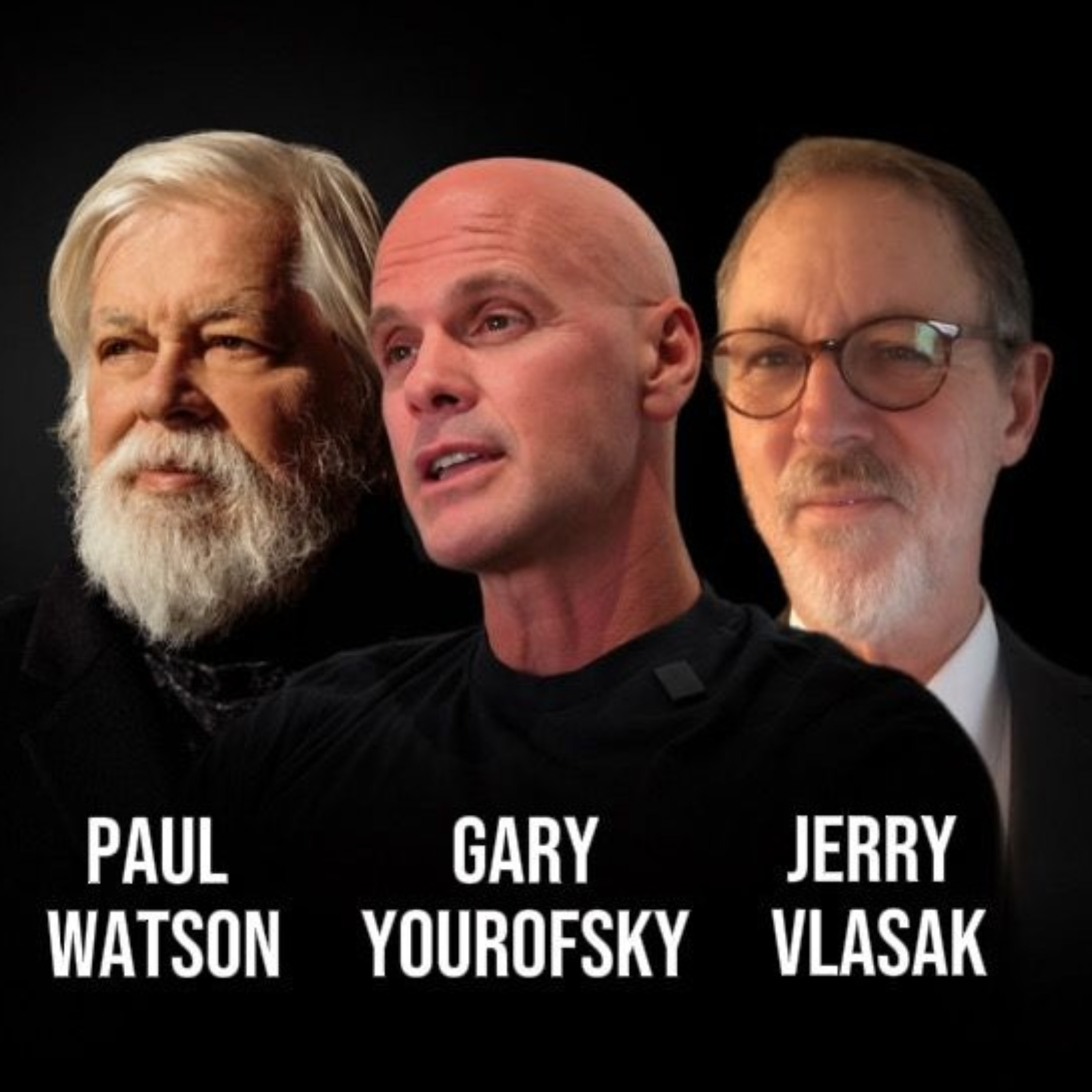 Animal Liberation War Stories. With Paul, Gary & Jerry  | Ep. 115