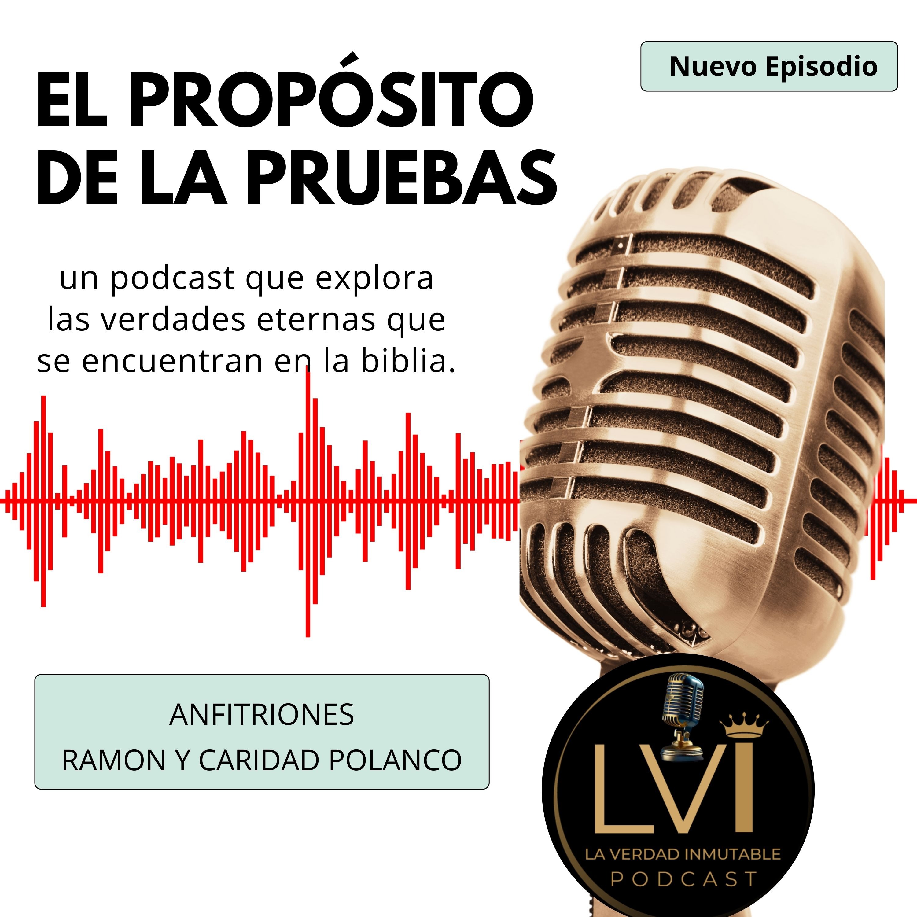 El propósito de la pruebas  ES09 episode artwork