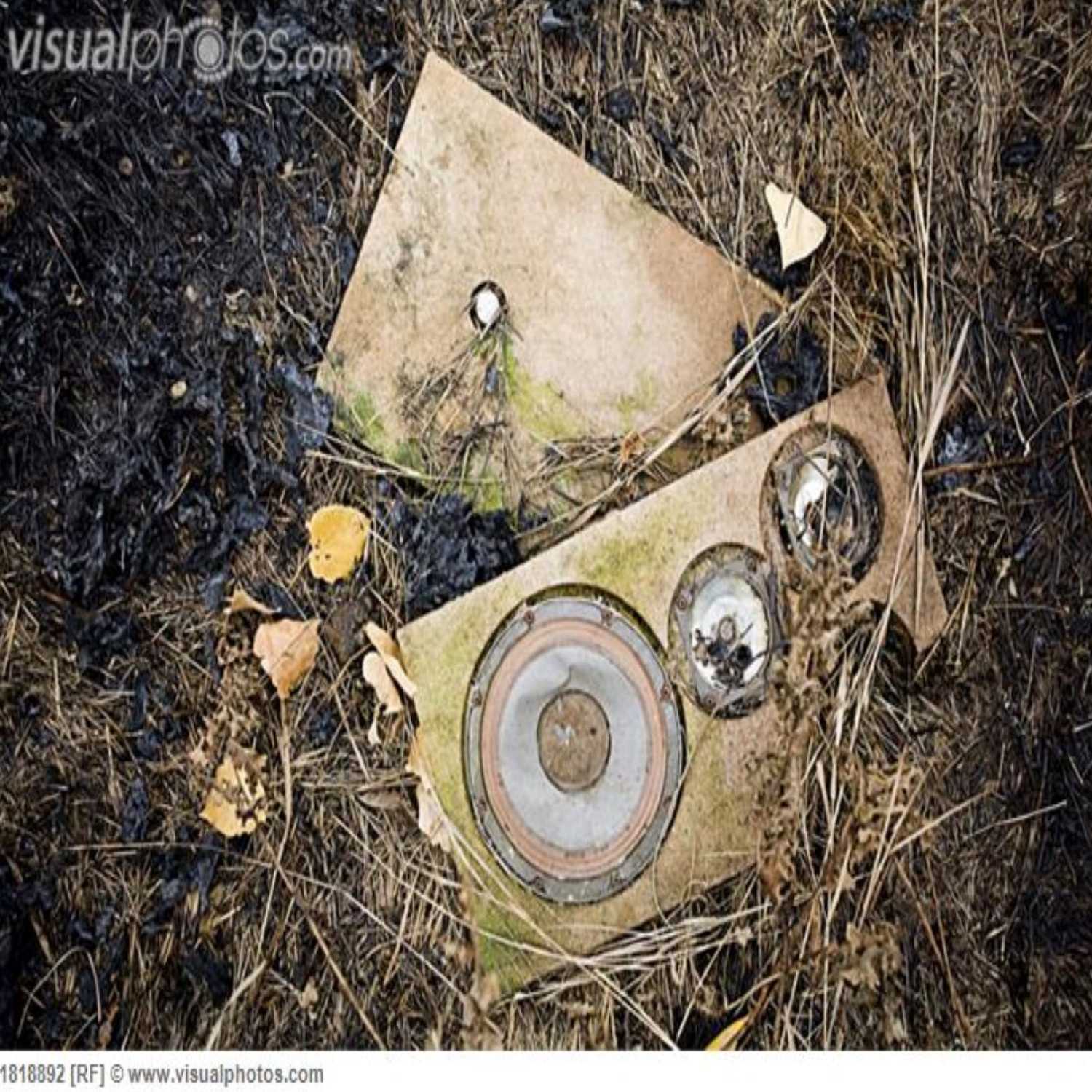 How I fell in (and out of) love with USF Football