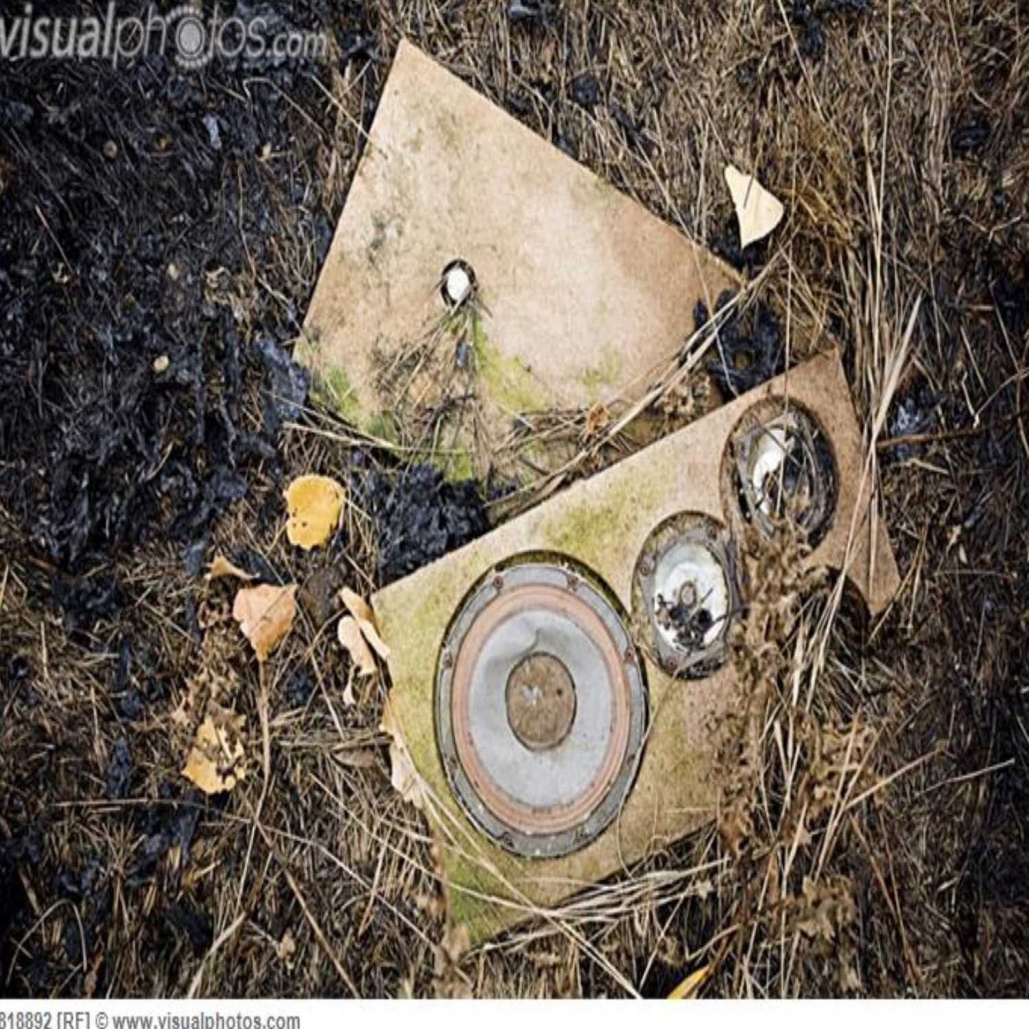 Ep.8 Busch Gardens Update - Too Little Too Late