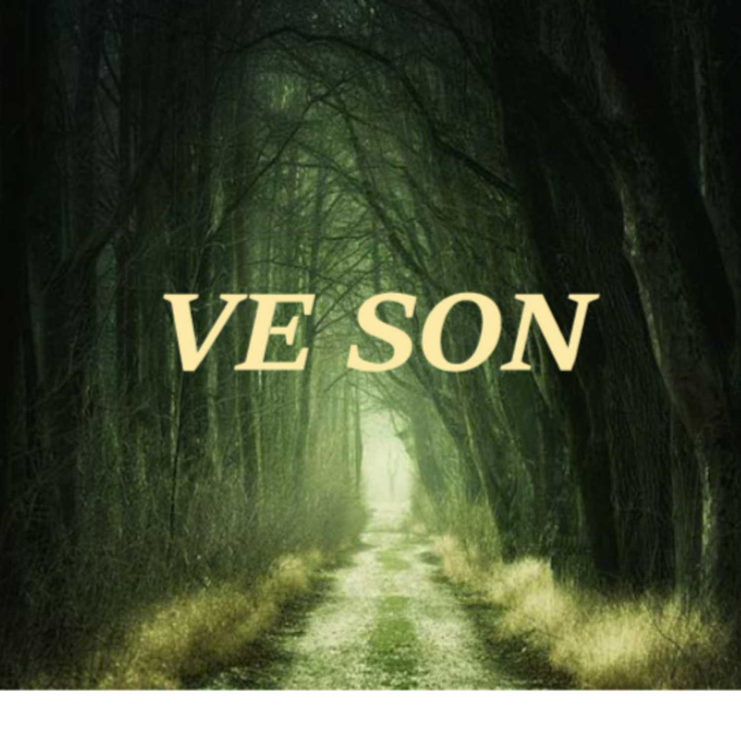 VE SON podcast artwork