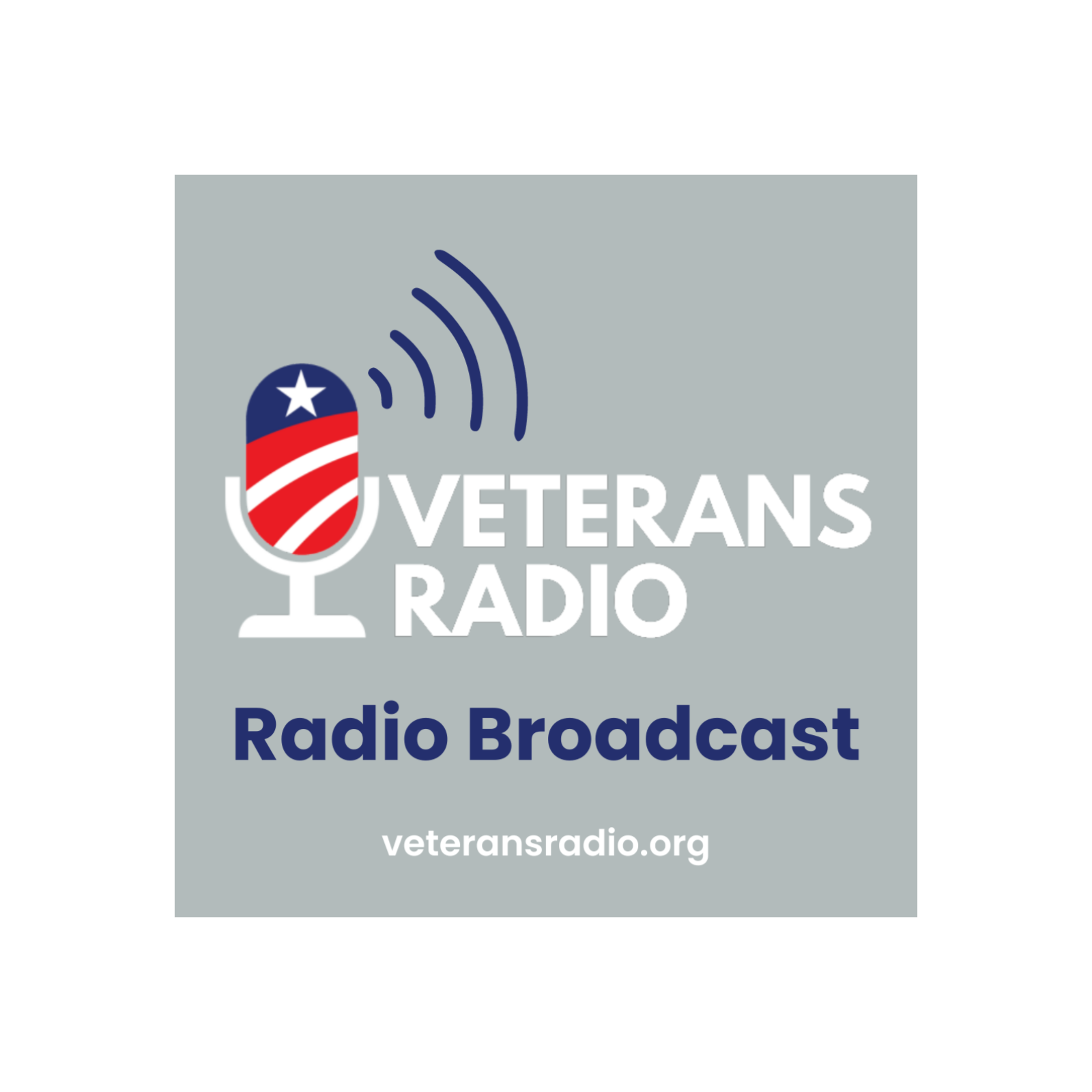 Navy Pilot Capt. Derek Adametz Unbreakable Wings