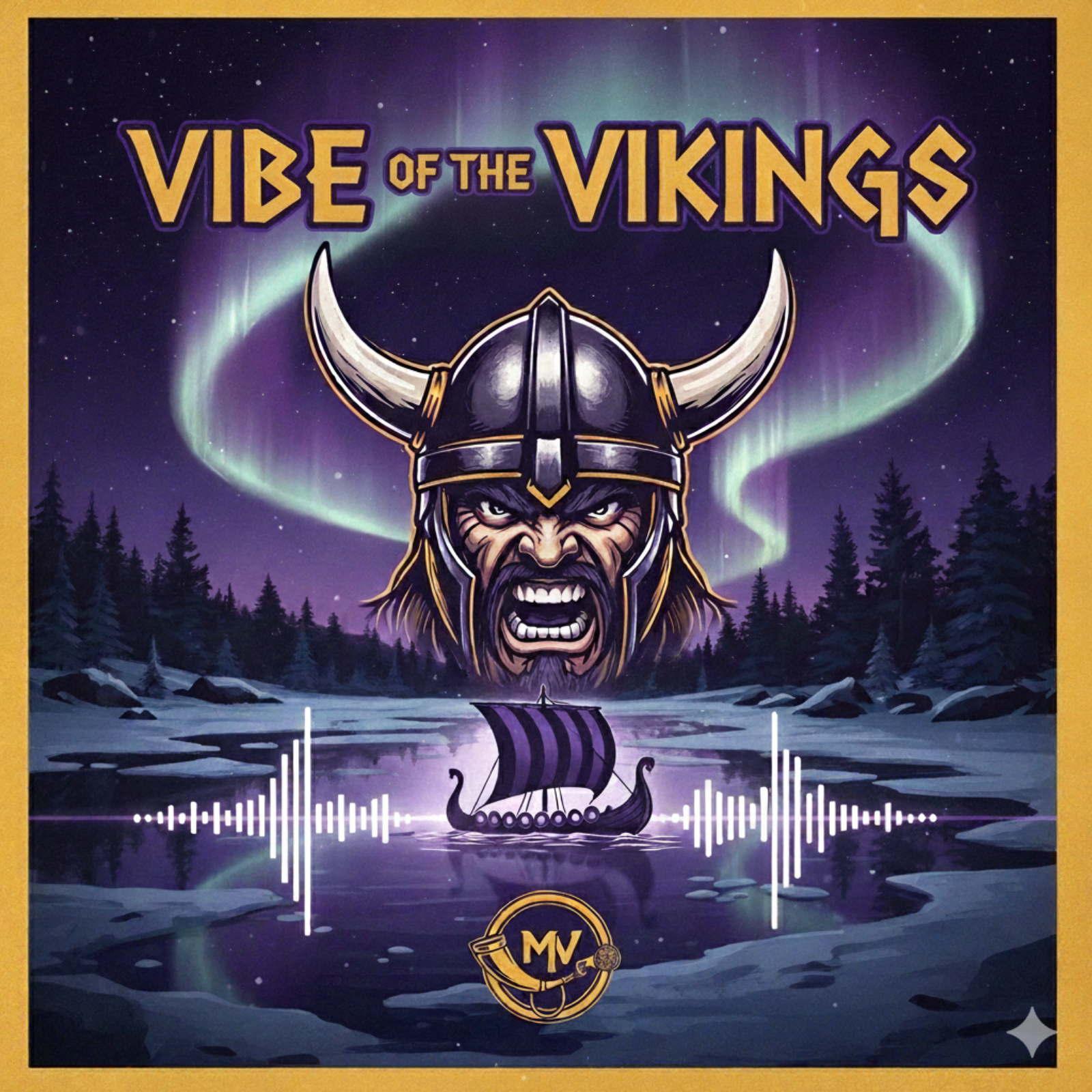 Vibe Of The Vikings