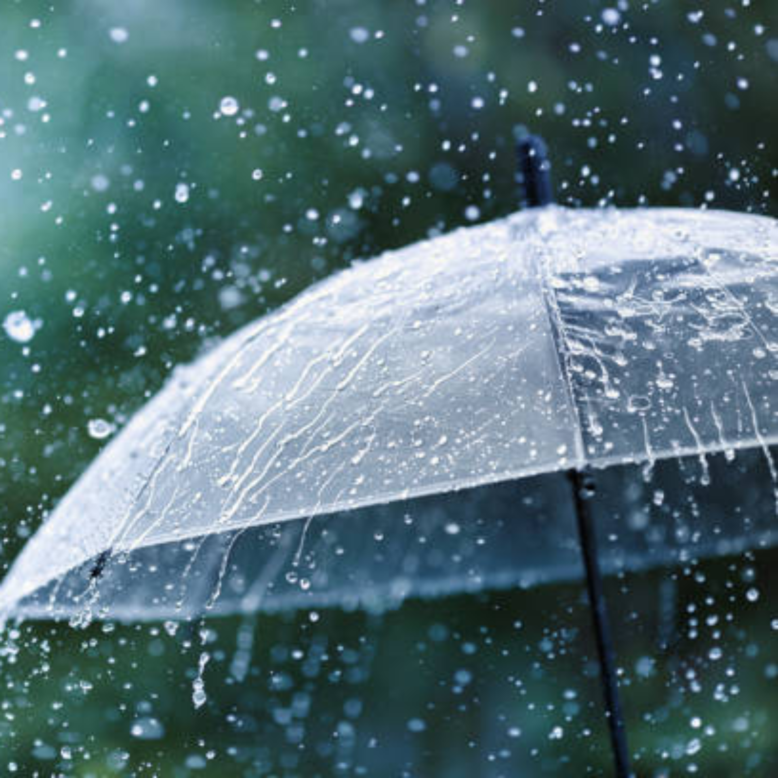 Have You Ever Seen the Rain? episode artwork