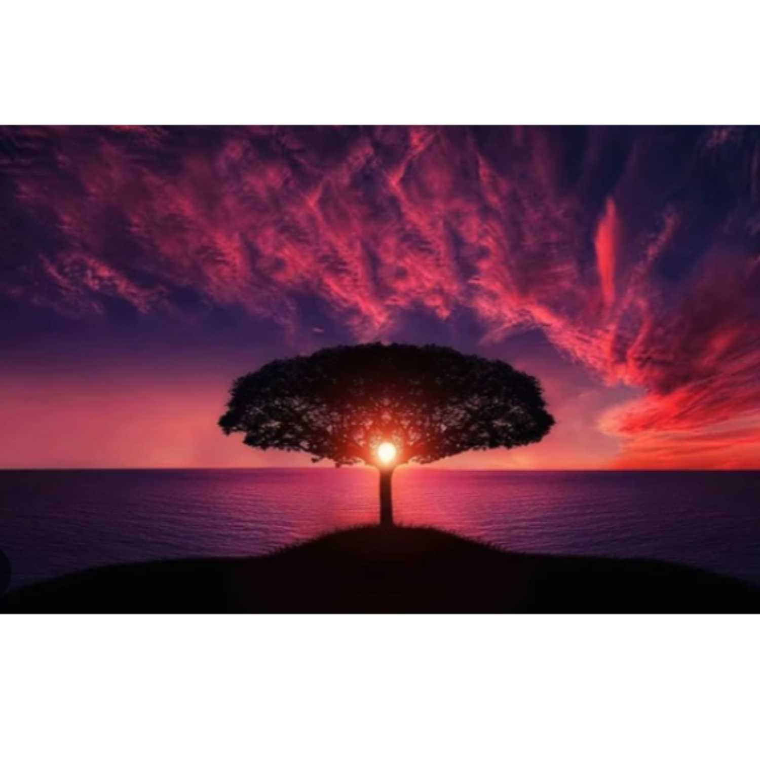 Vida en acción - Podcast