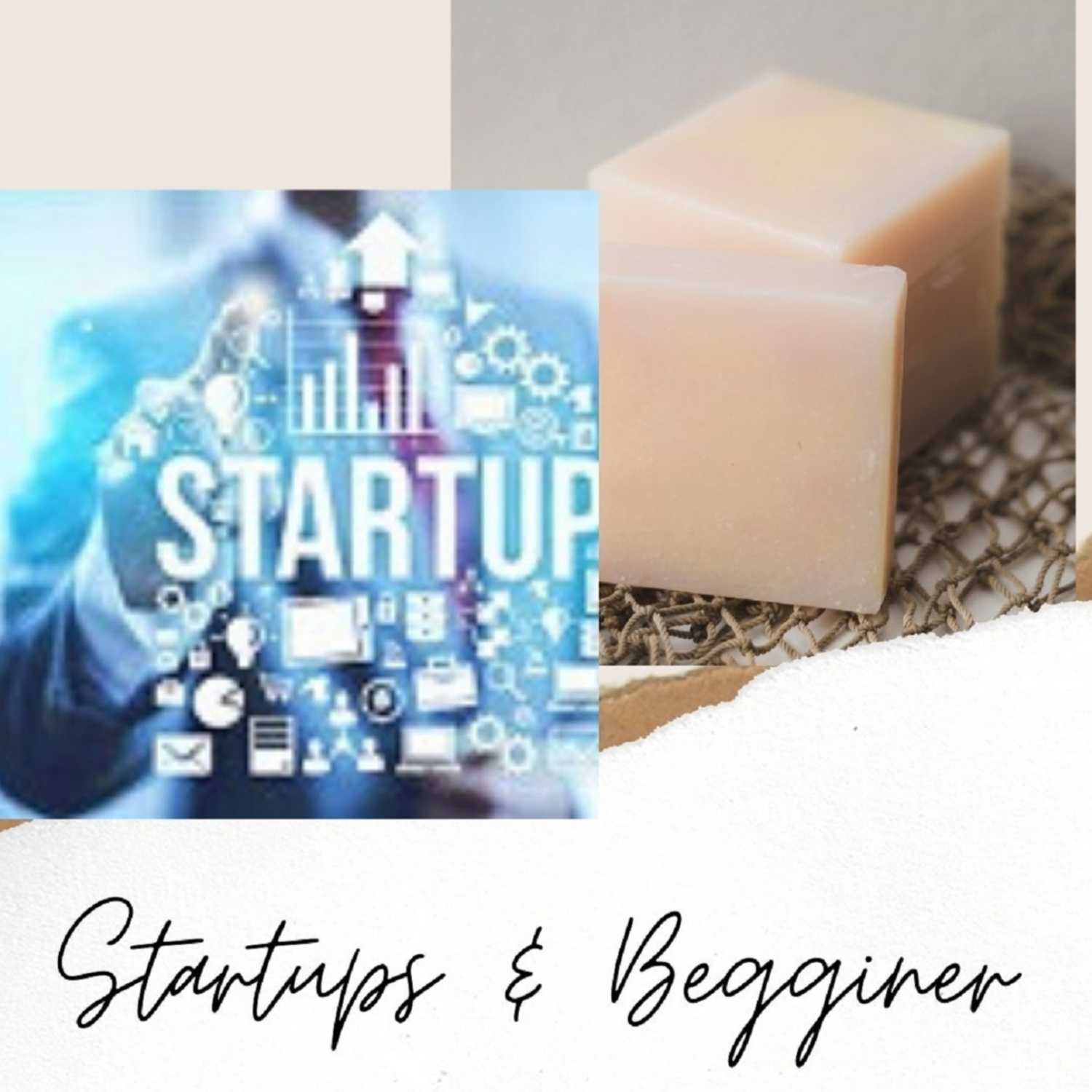 Business Startups & Beginner Guide