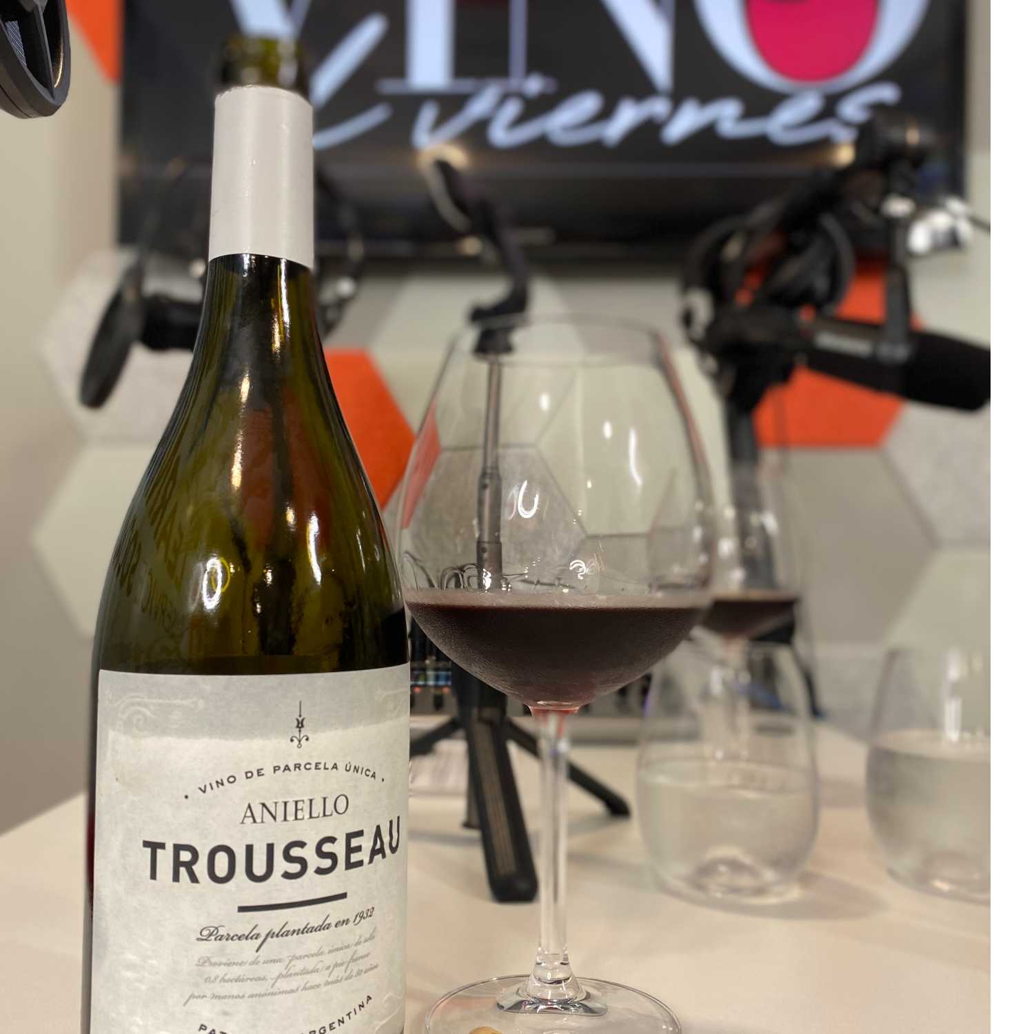  Episodio 6 Cata de Vino Trousseau con Sonia Zayas de Catavinos episode artwork