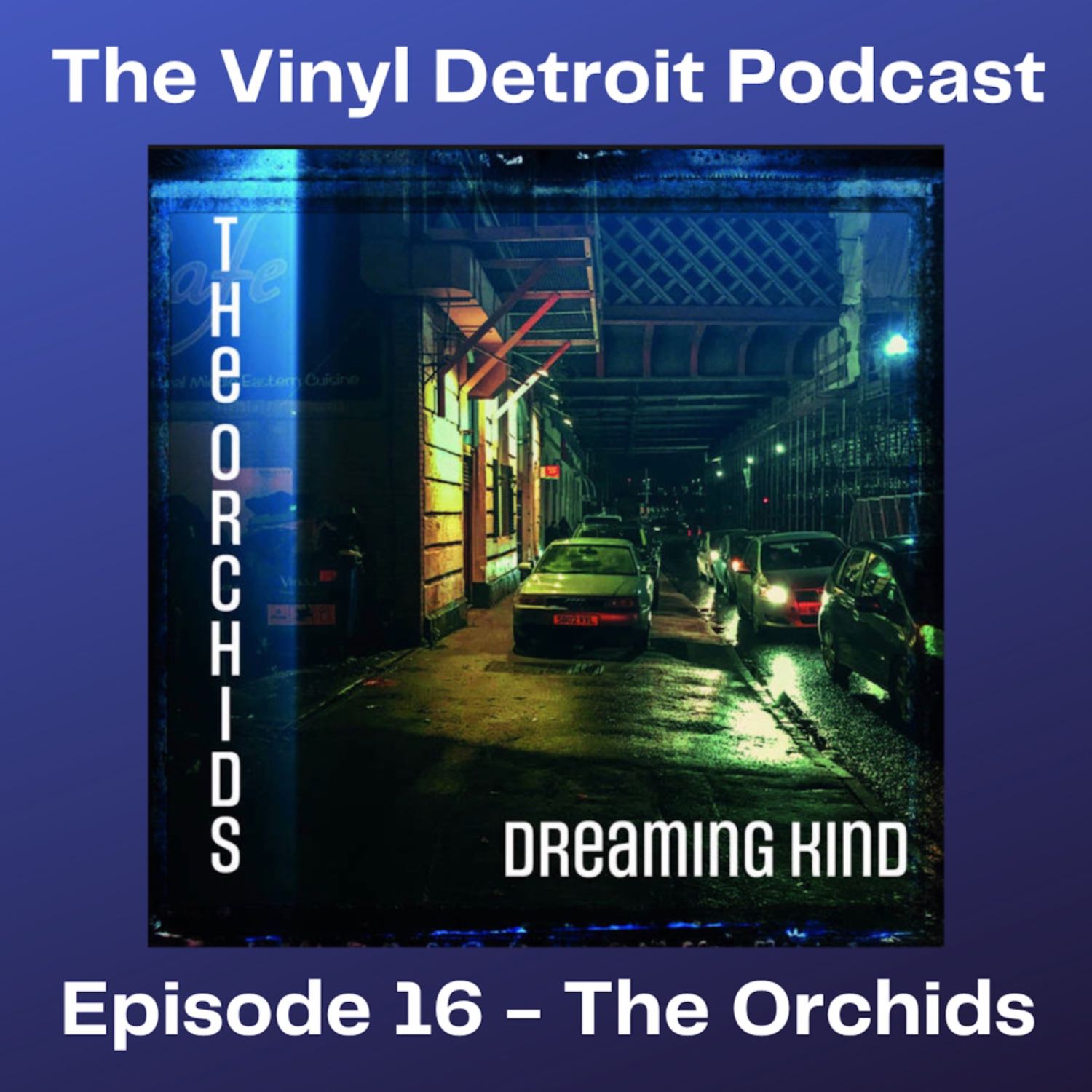 The Vinyl Detroit Podcast - The Orchids