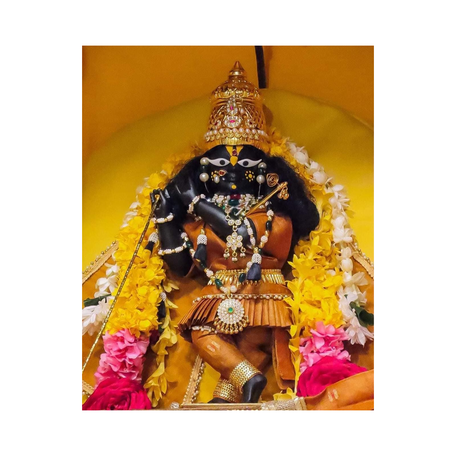 Visuddha-caitanya-vani podcast artwork