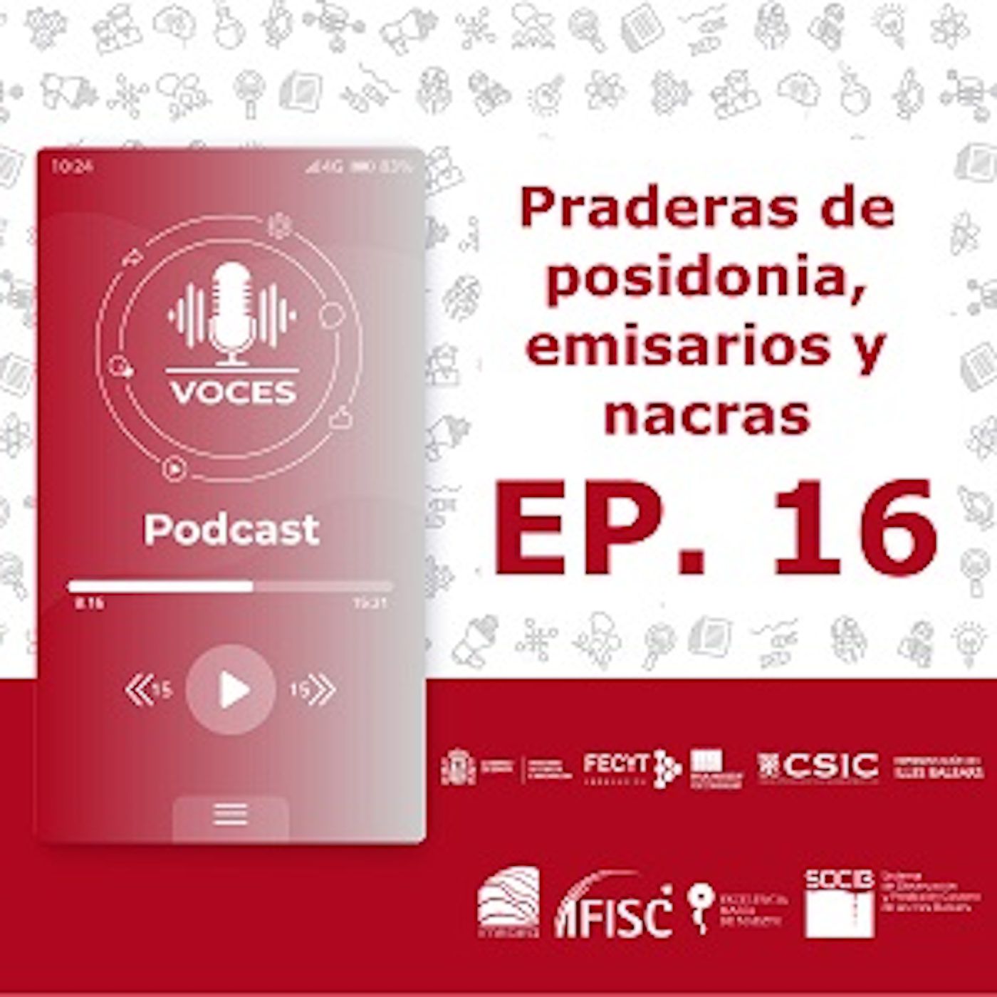 Praderas de posidonia, emisarios y nacras #16