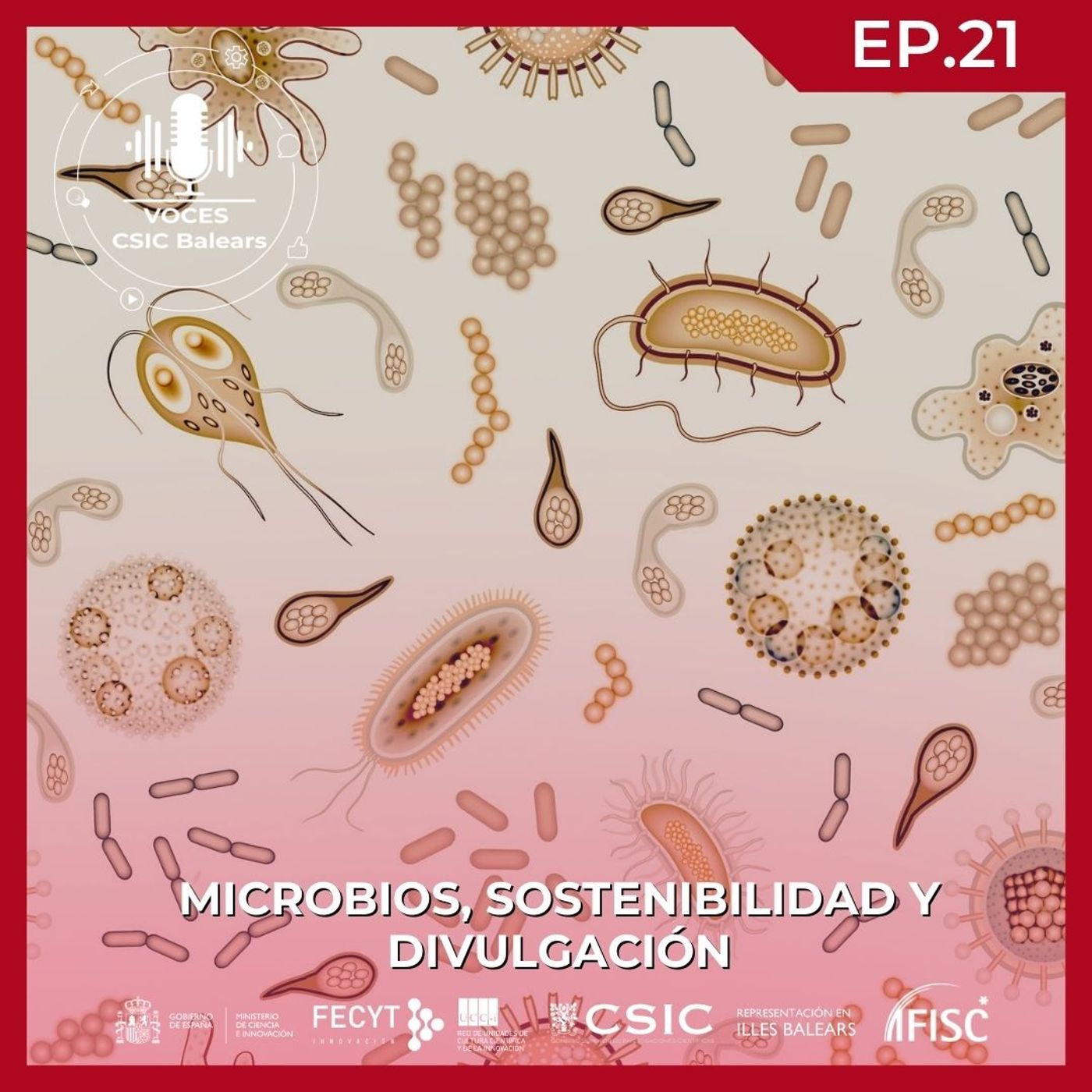 Microbios, sostenibilidad y divulgación #21