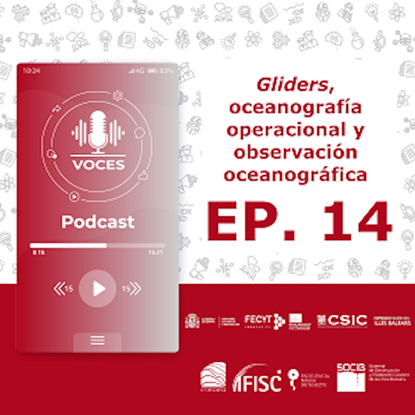 Gliders, oceanografía operacional y observación oceanográfica #14
